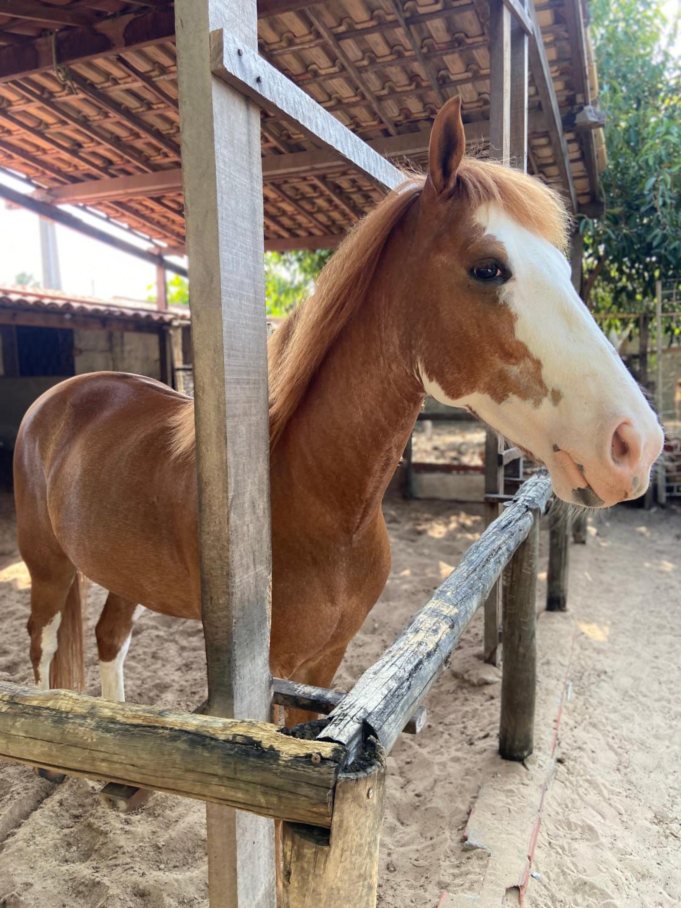Chacara do Alemao