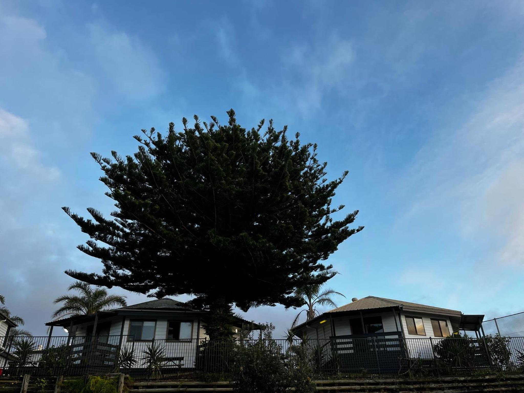 Shelly Beach Holiday Park