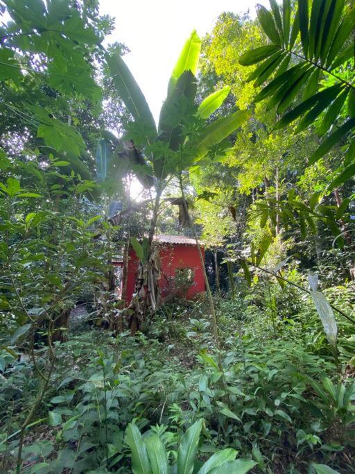 Casa Vermelha no Sítio das Árvores