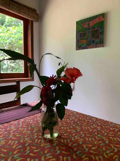 Casa Vermelha no Sítio das Árvores
