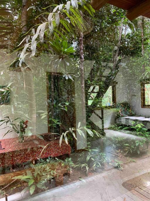Casa Vermelha no Sítio das Árvores