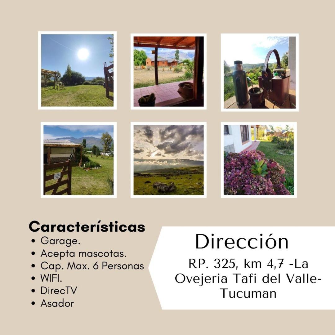 Casas de Altura 1