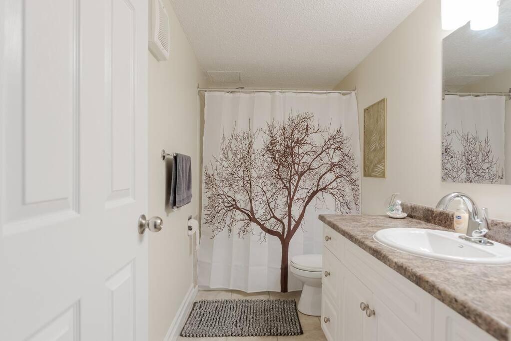 1BR with King Bed Free Parking Self Check In