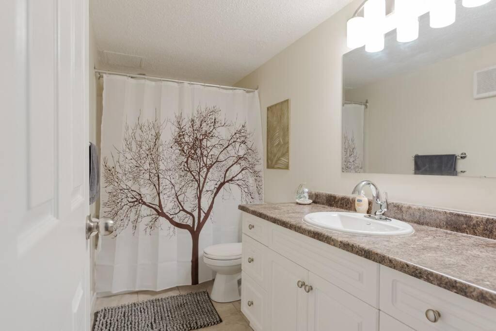 1BR with King Bed Free Parking Self Check In