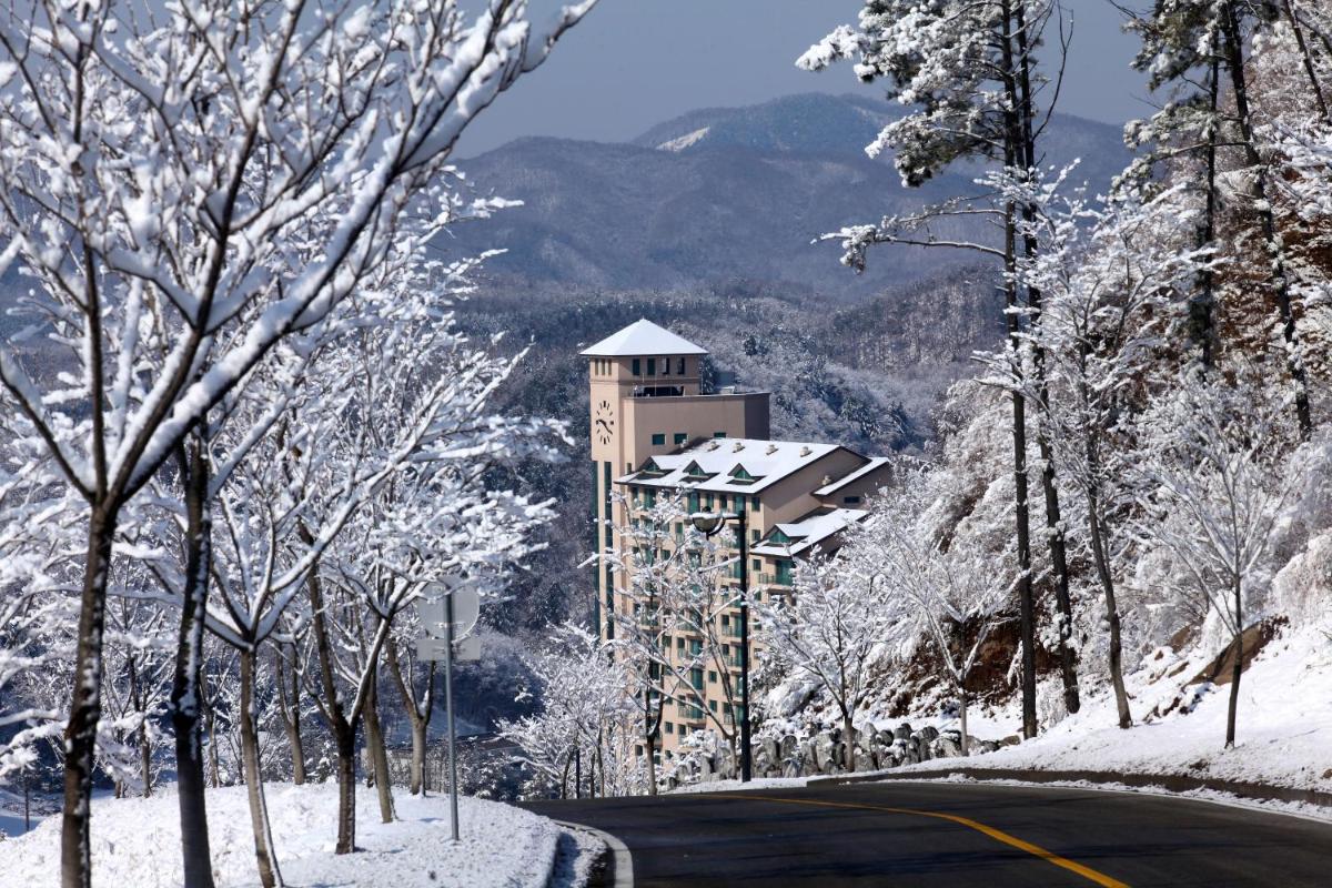 Oak Valley Resort Valley Village