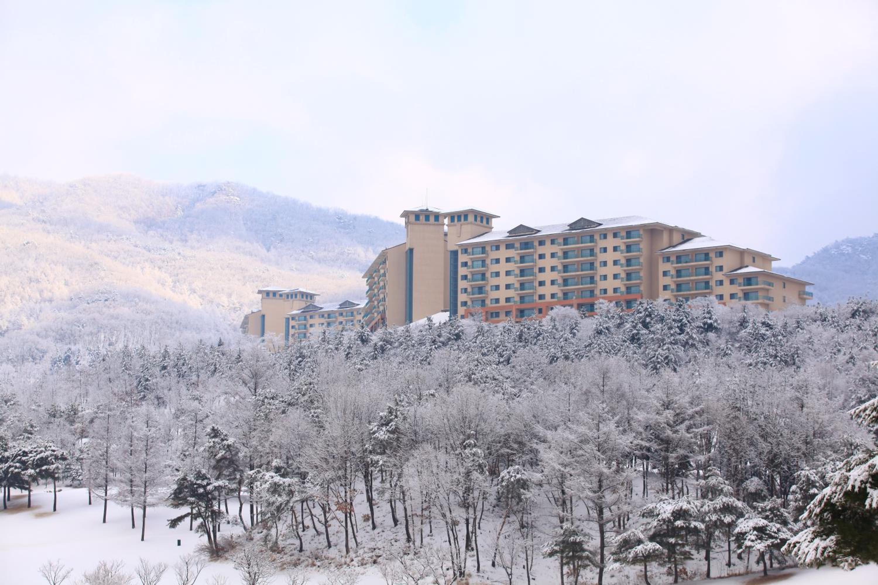 Oak Valley Resort Valley Village