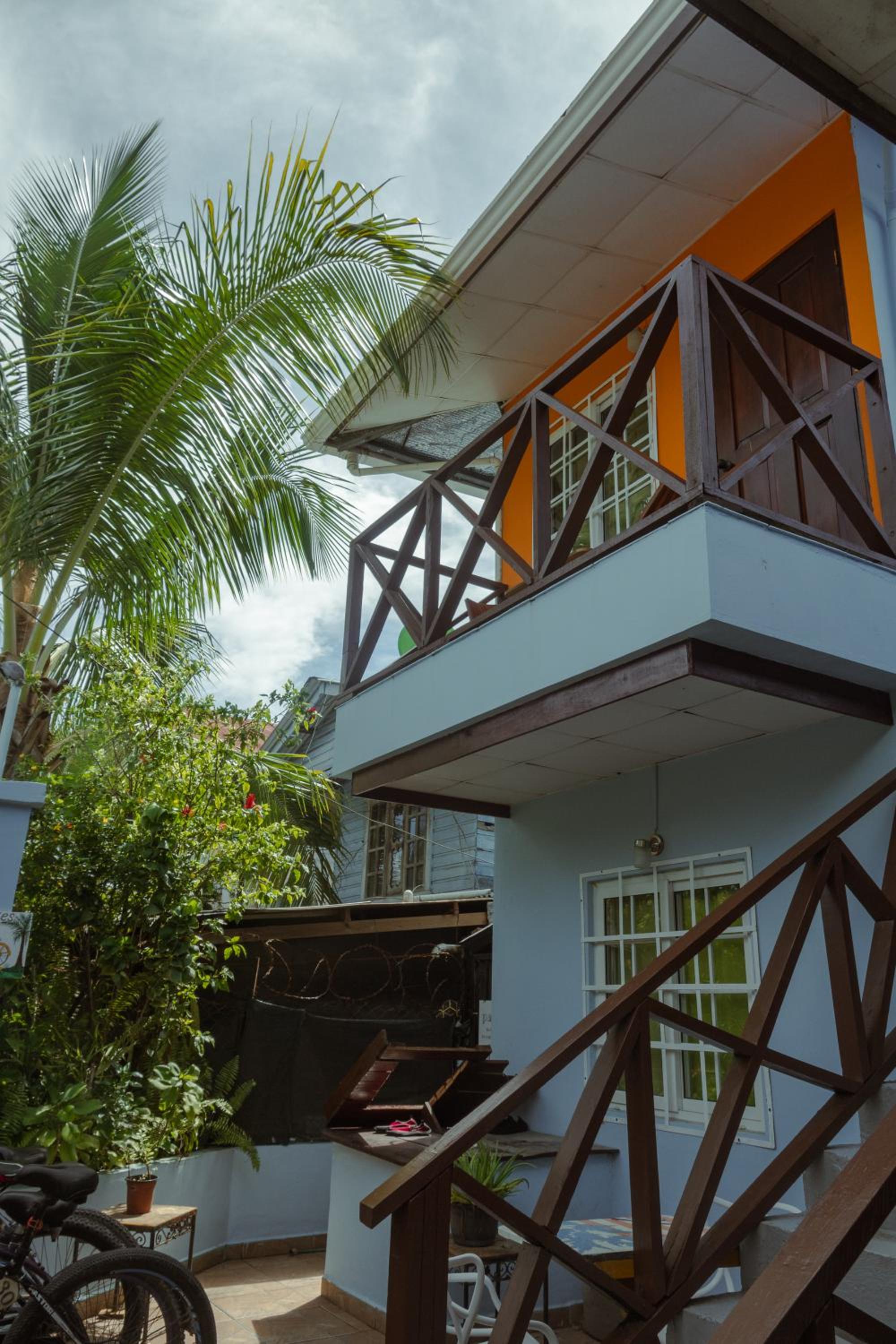 Surfari Bocas, photo 68