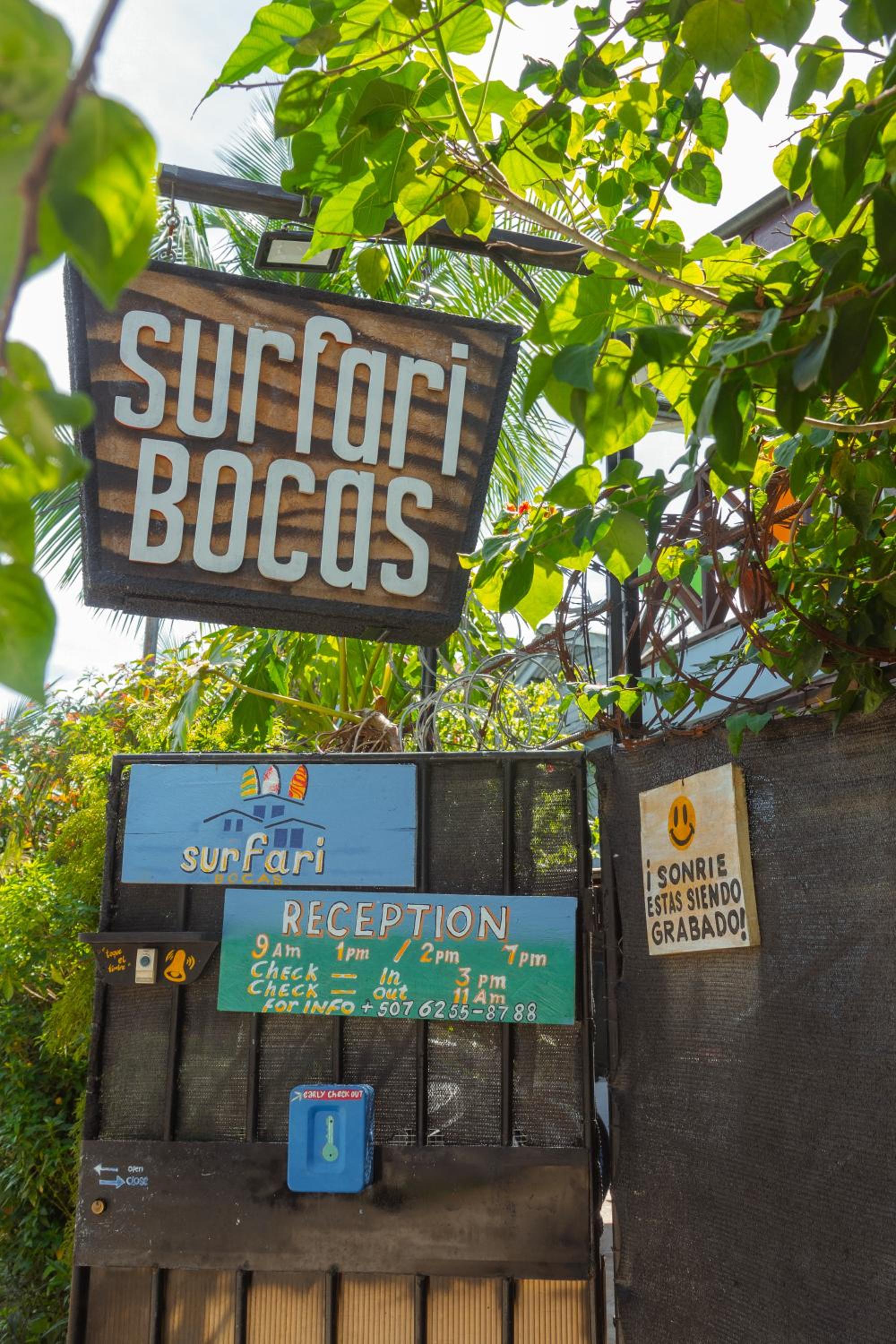 Surfari Bocas, photo 224