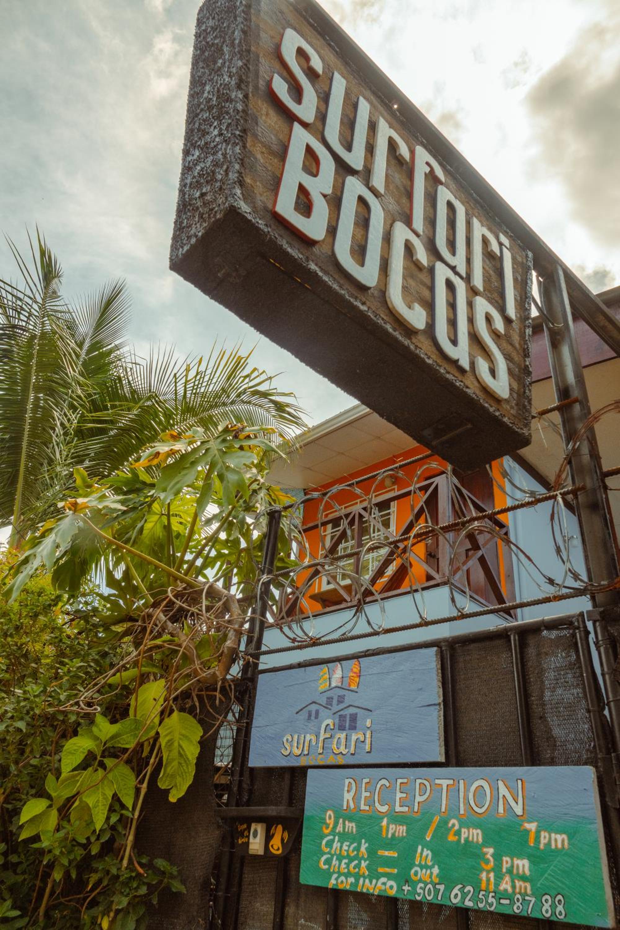 Surfari Bocas, photo 215