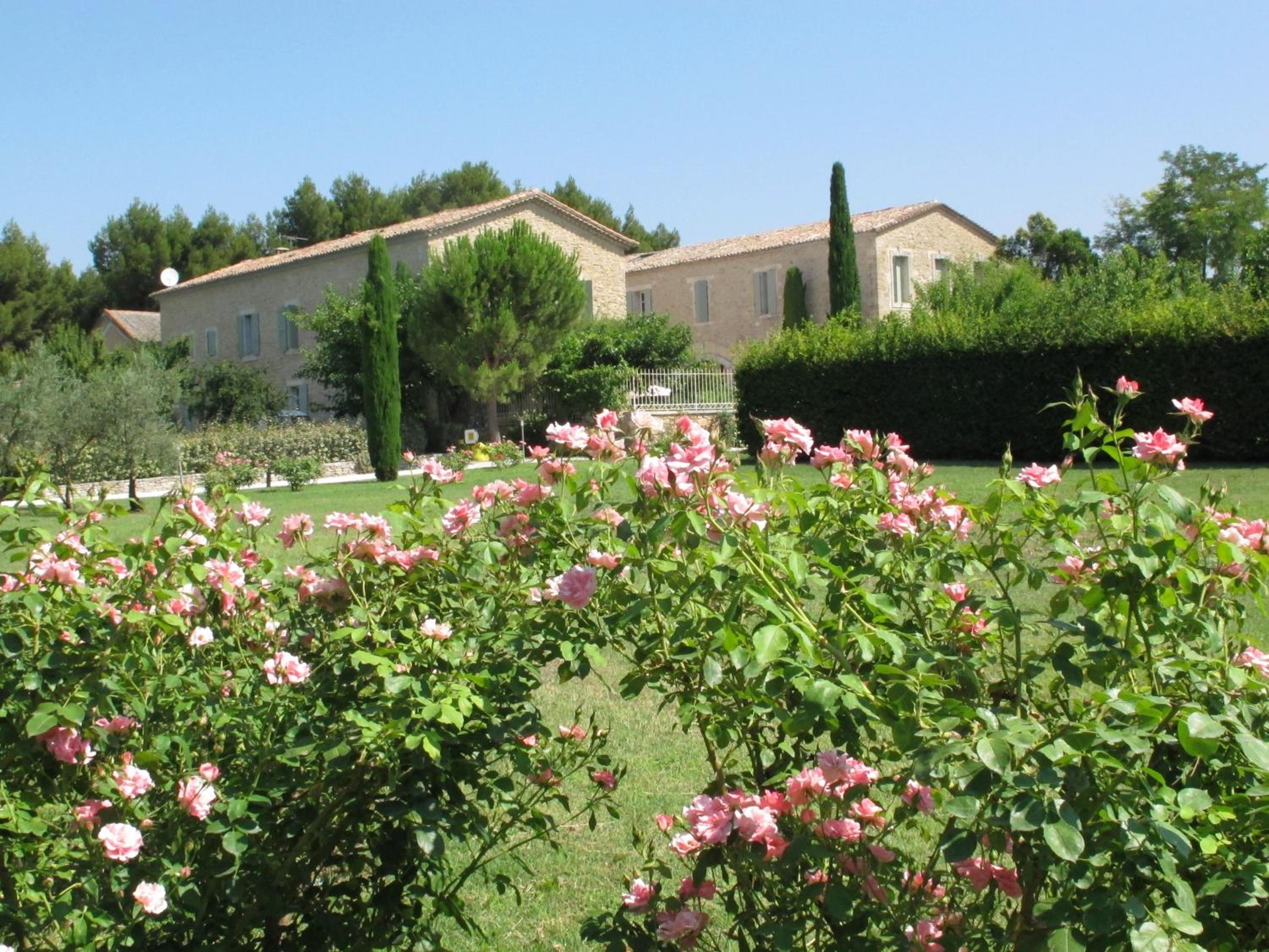 La Cour Des Sens