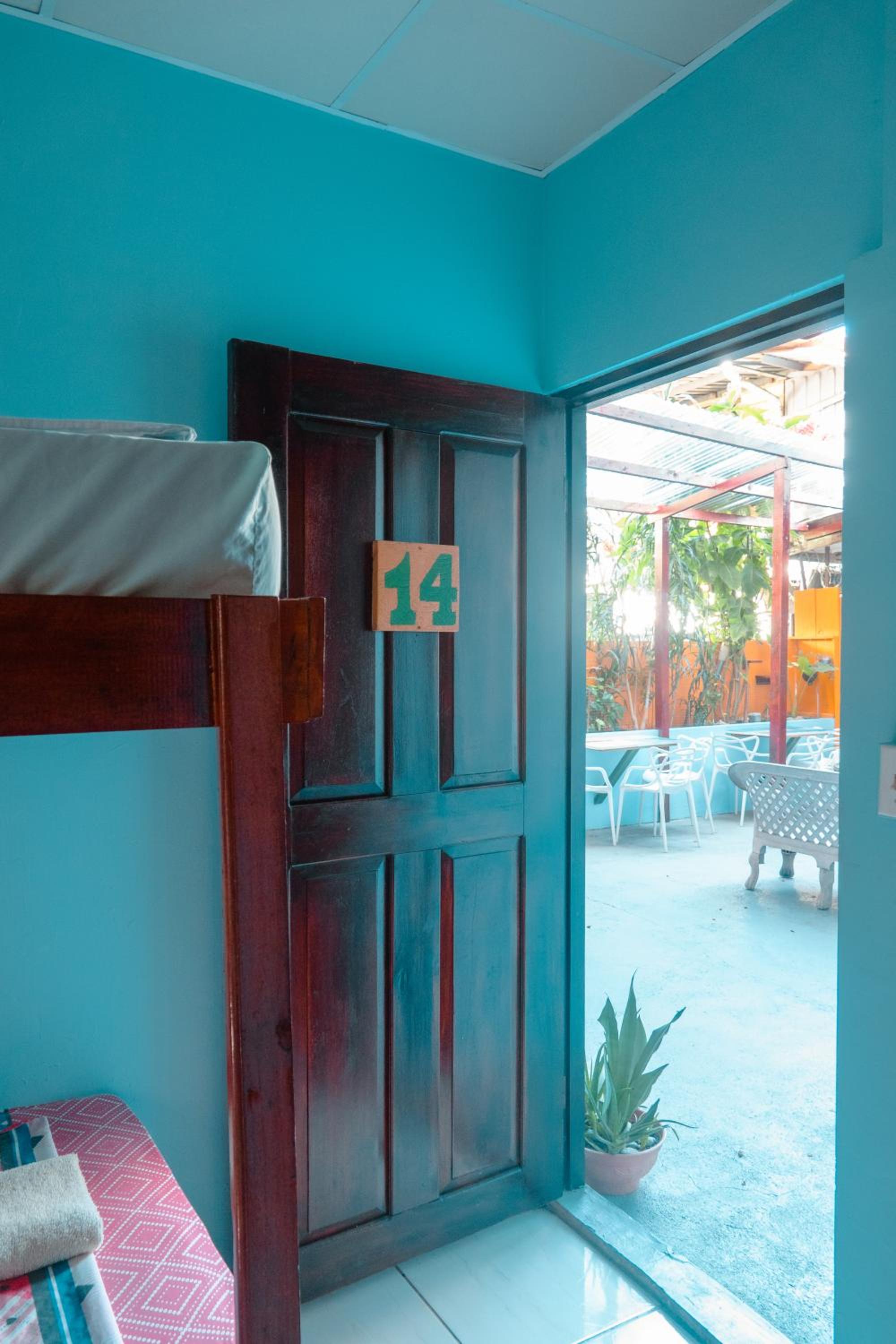 Surfari Bocas, photo 51