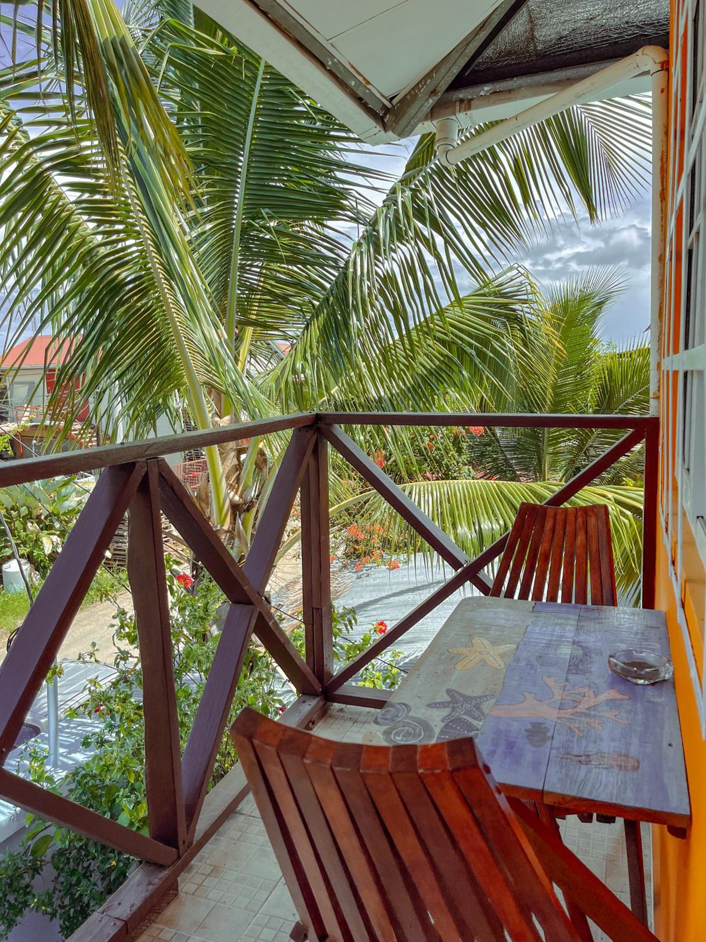Surfari Bocas, photo 88