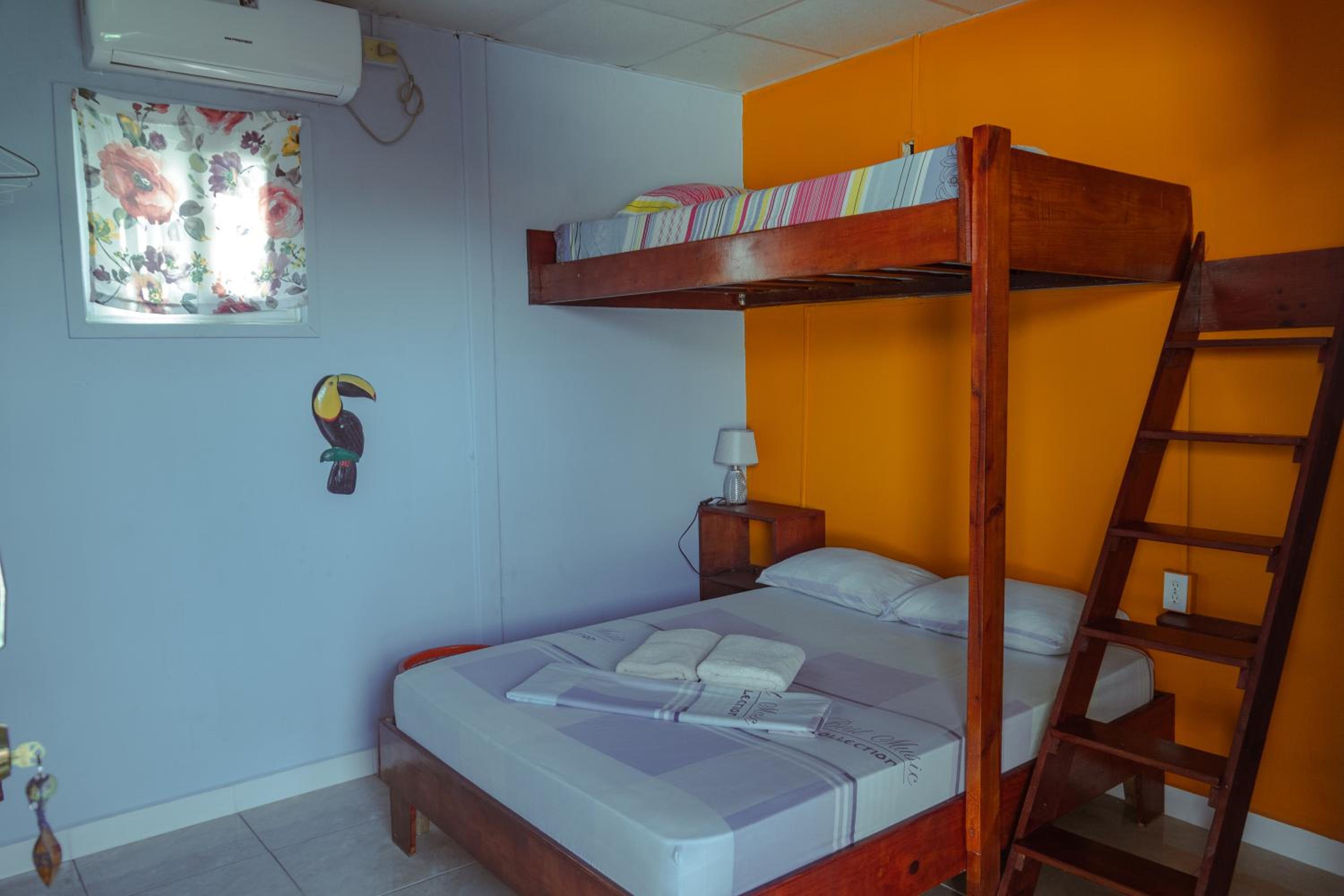 Surfari Bocas, photo 14