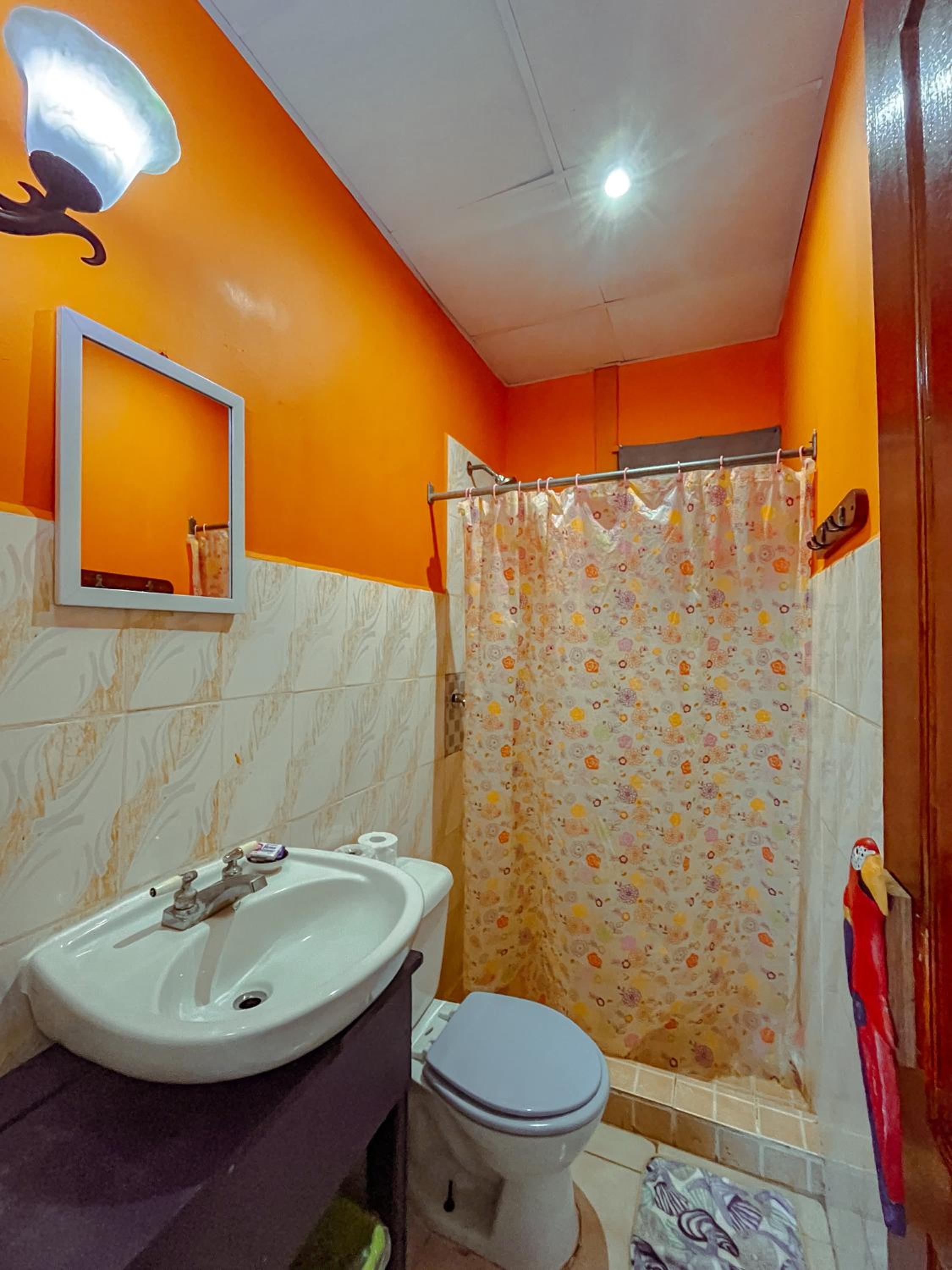 Surfari Bocas, photo 62