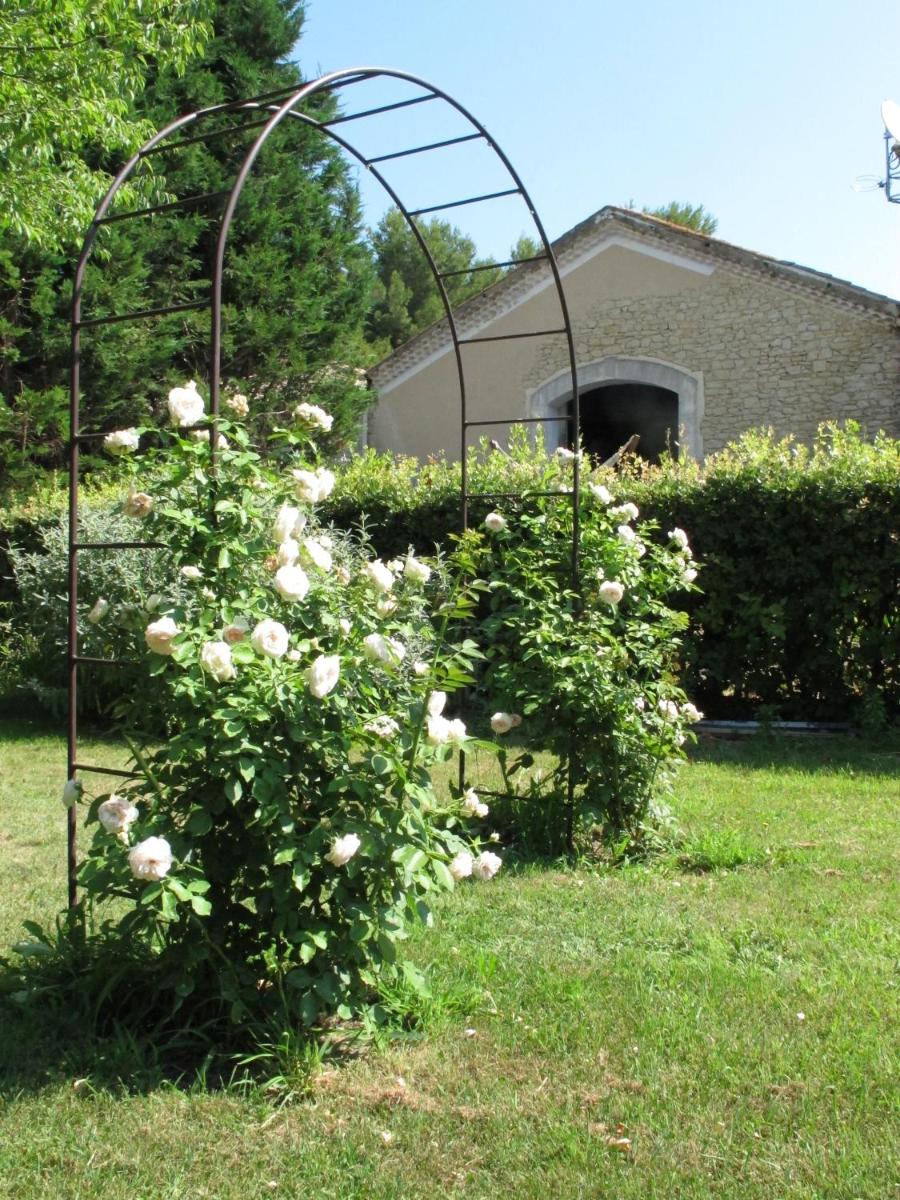 La Cour Des Sens