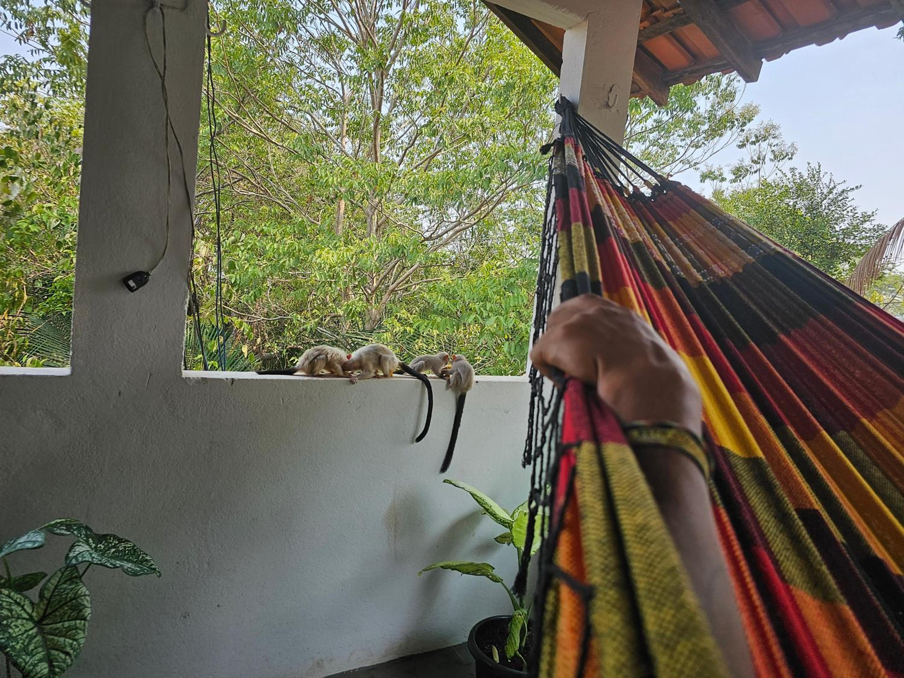 Casa do Filipe