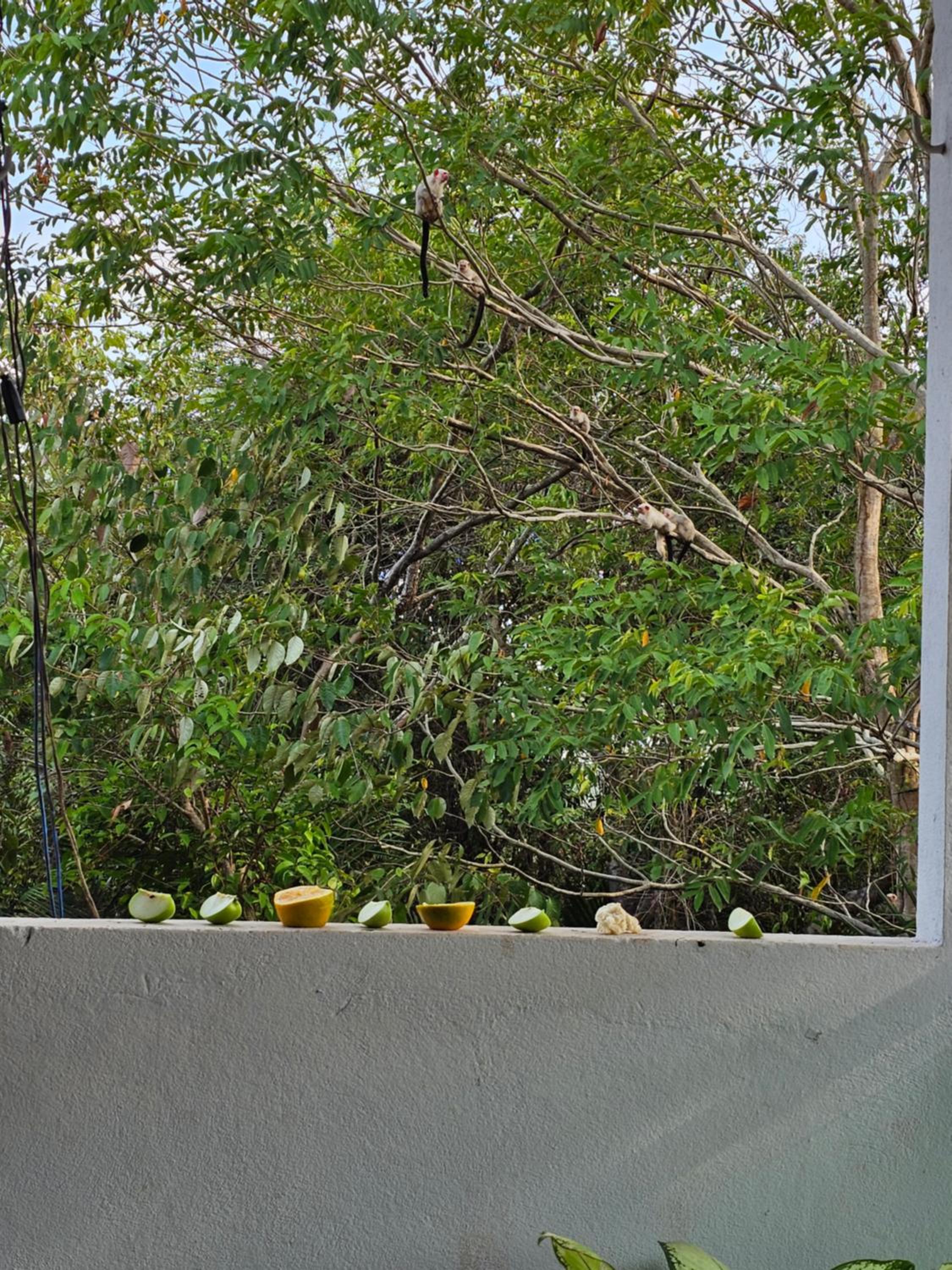 Casa do Filipe