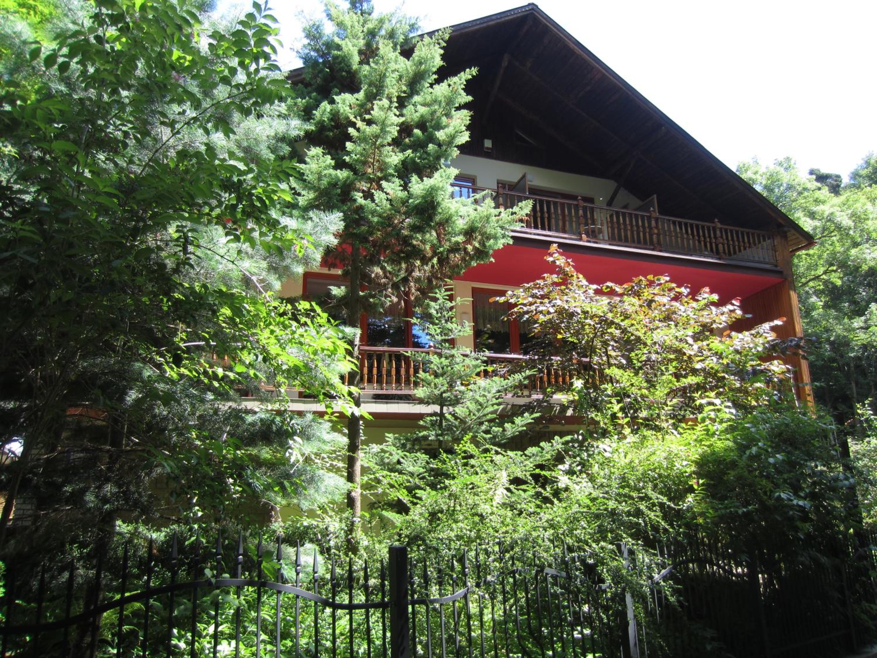 Photo 12