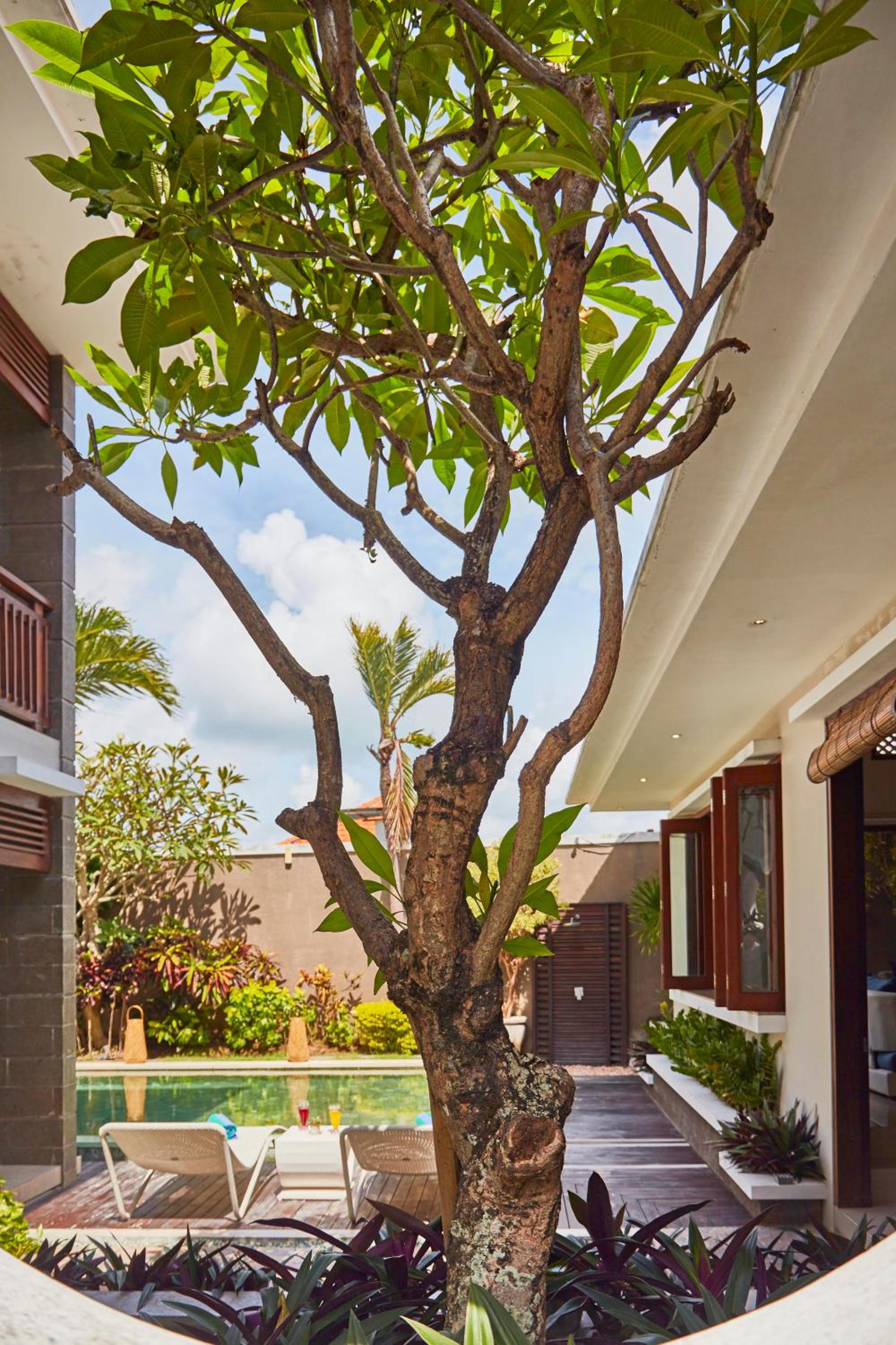 Dreamscape Bali Villas Canggu