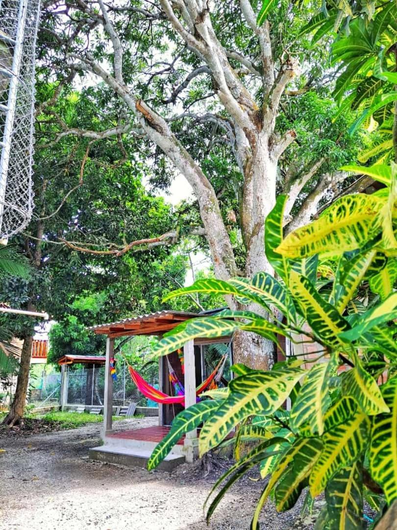 Cabaña desde 4 huéspedes 560 metros cuadrados con Naturaleza a 300 metros mar
