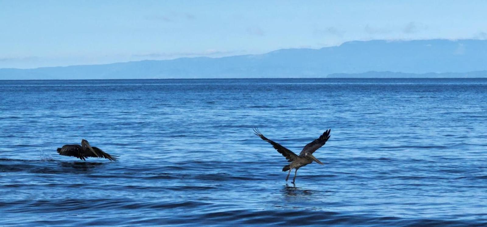 Cabaña desde 4 huéspedes 560 metros cuadrados con Naturaleza a 300 metros mar