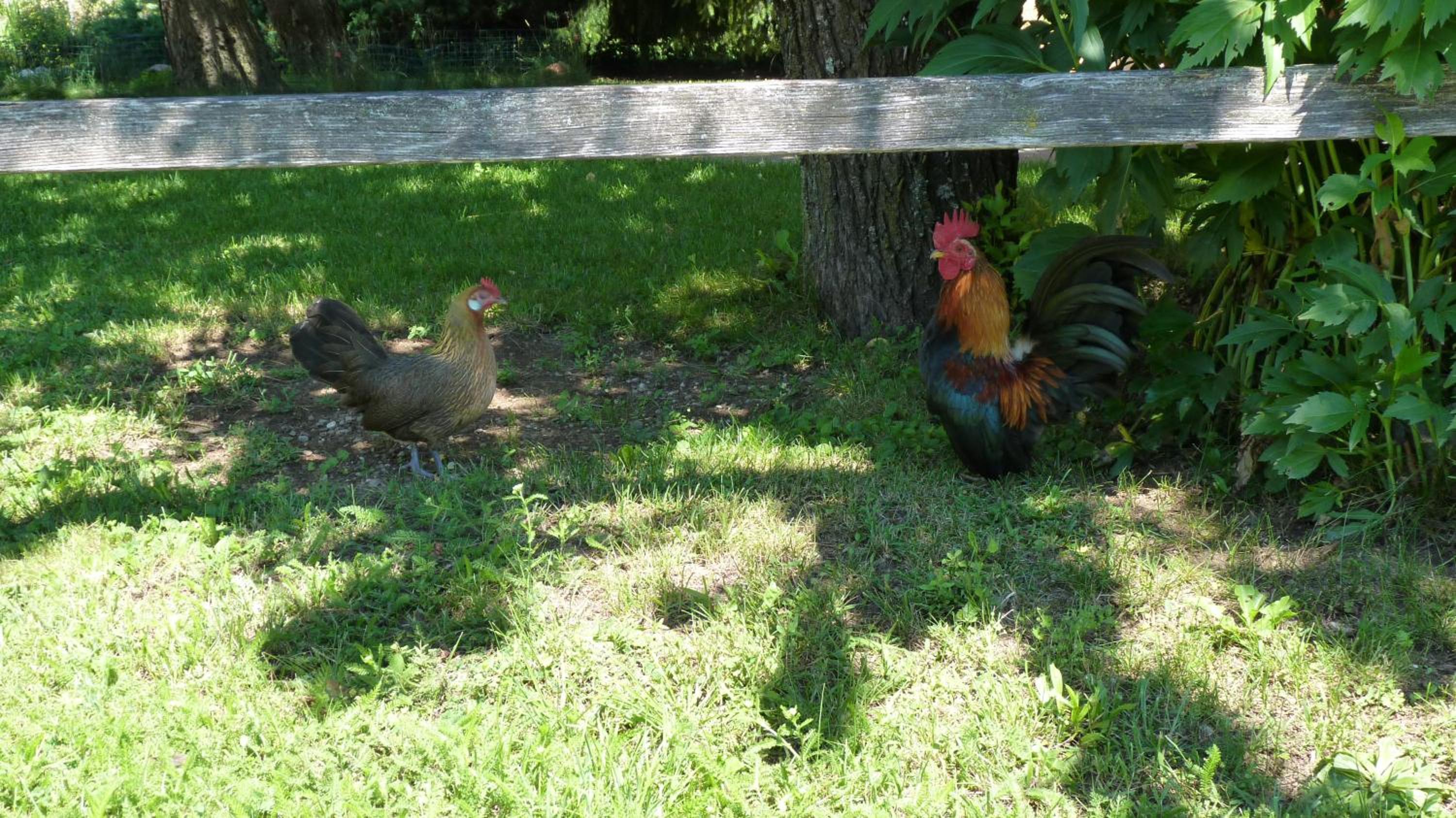 Photo 22