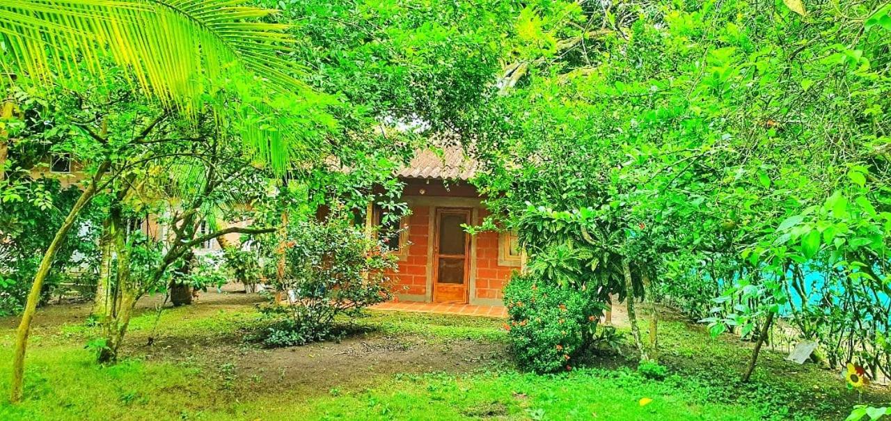 Cabaña desde 4 huéspedes 560 metros cuadrados con Naturaleza a 300 metros mar