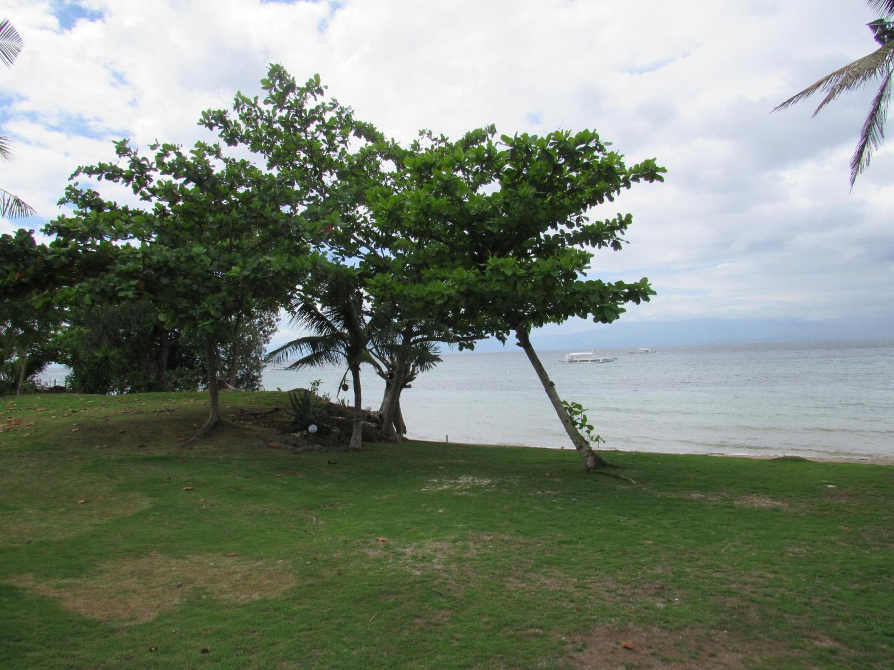 DACOZY Beach Resort