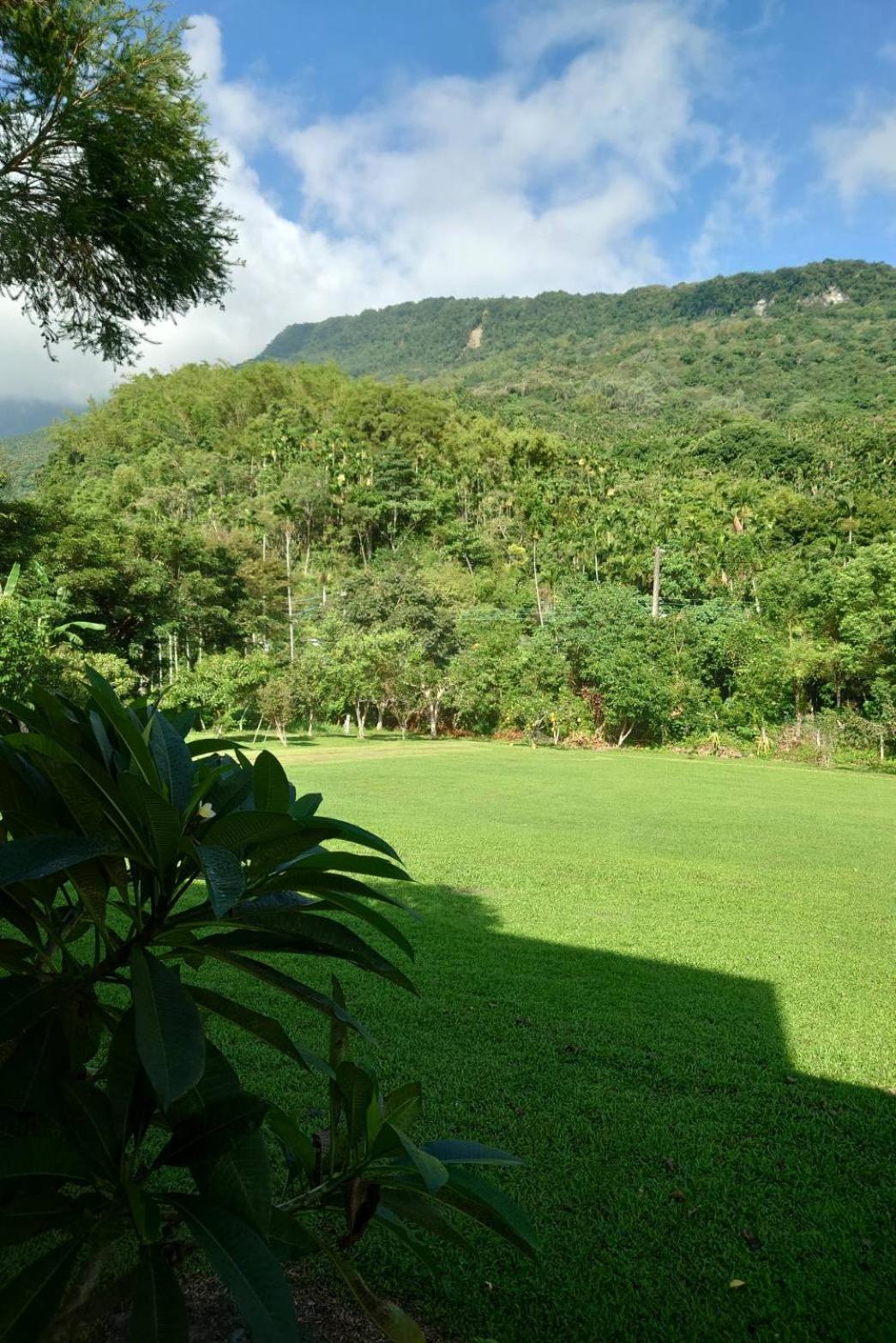 Shan Bian 52 Homestay view 2