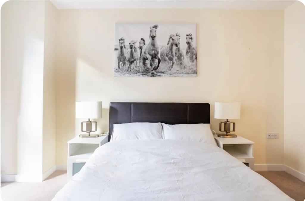 Luxury Central London Apartment