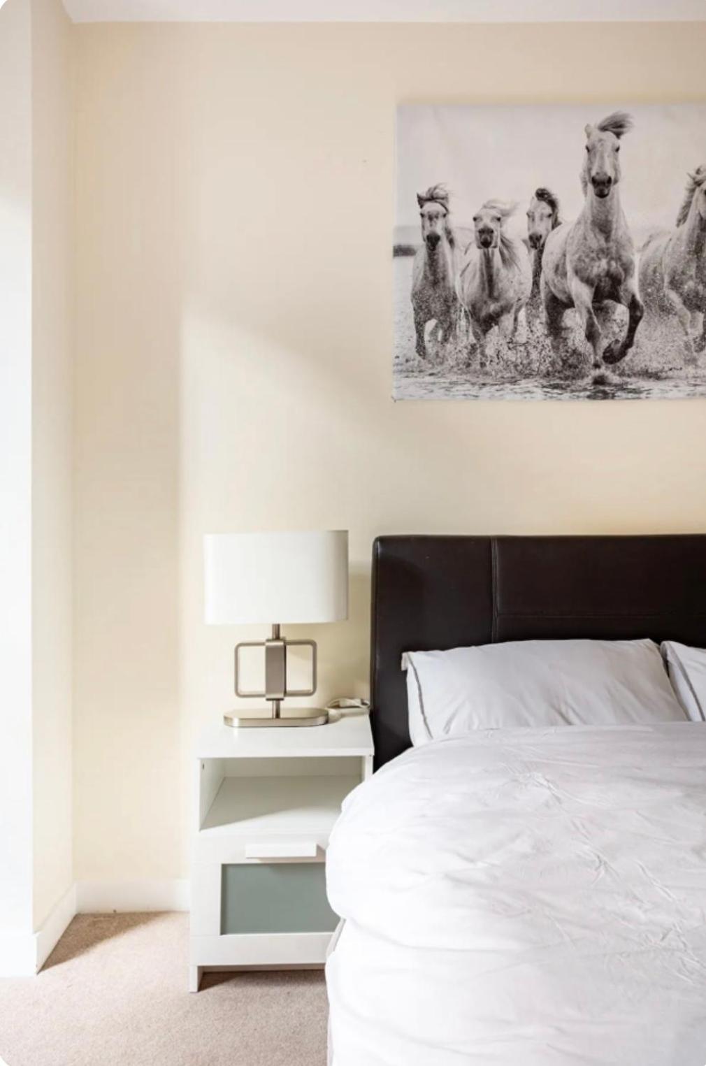 Luxury Central London Apartment