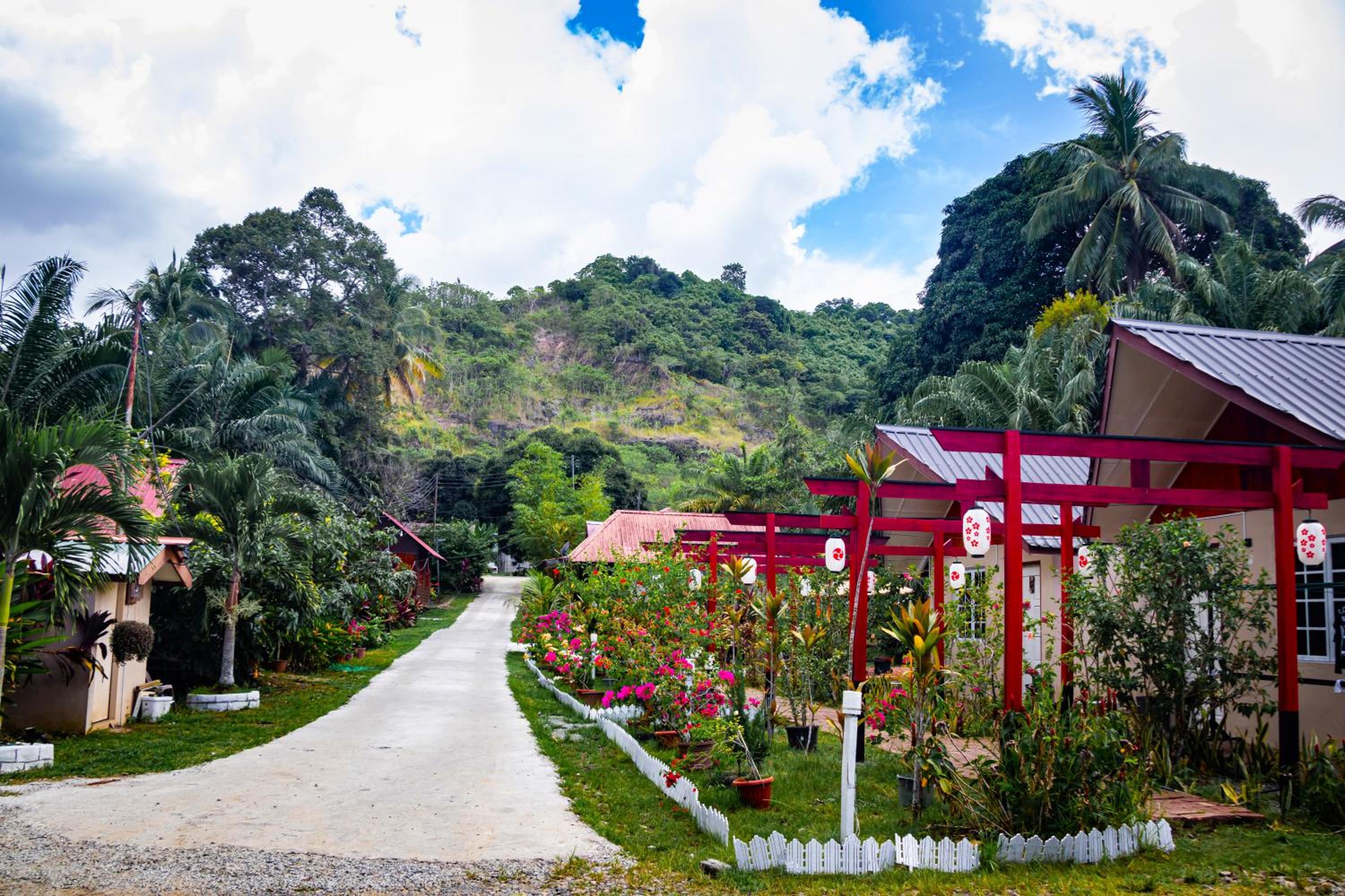 Timba Garden FREE TOWN AND JETTY TRANSPORT photo 6