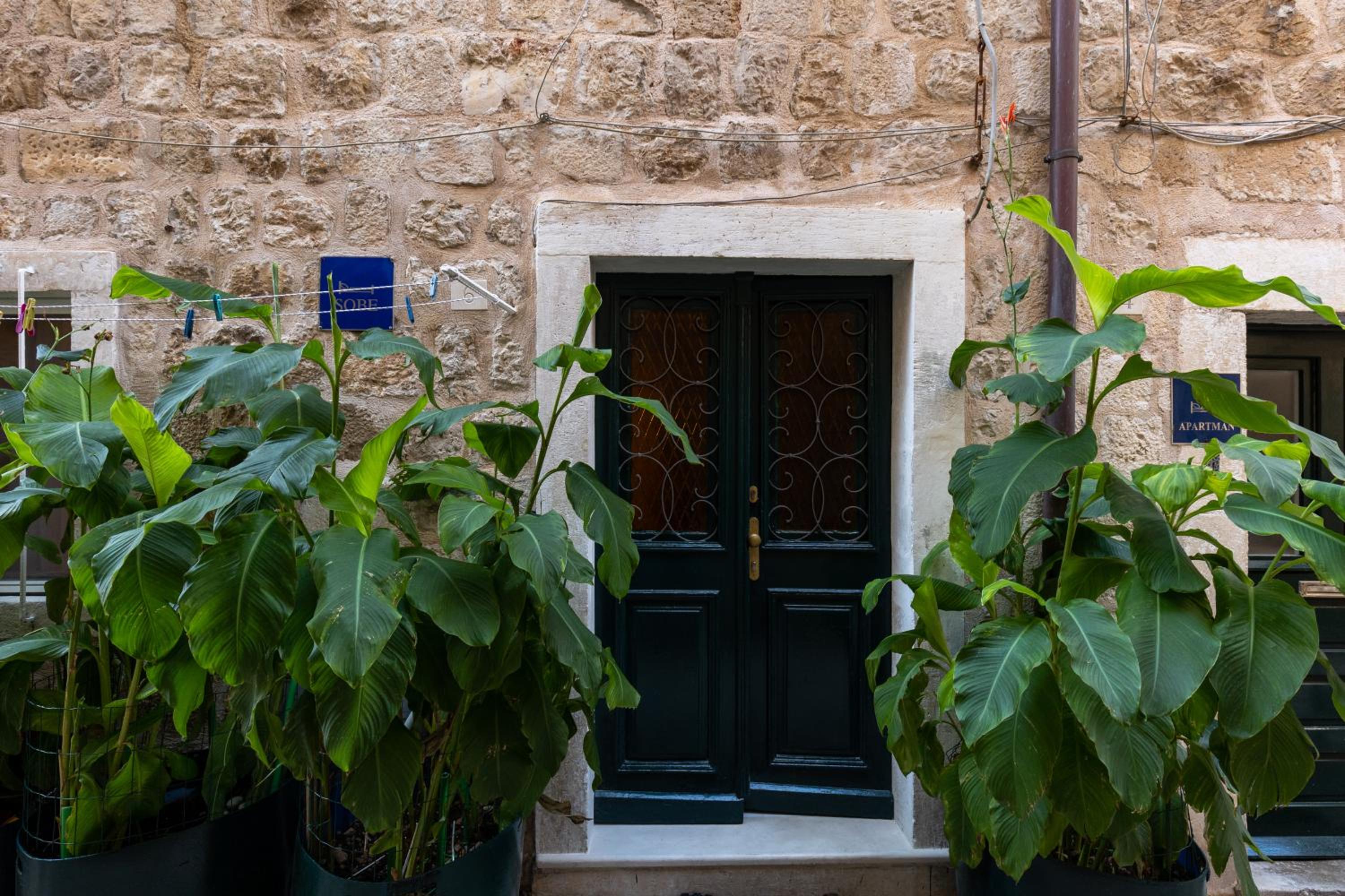 B&B BUZA HOUSE