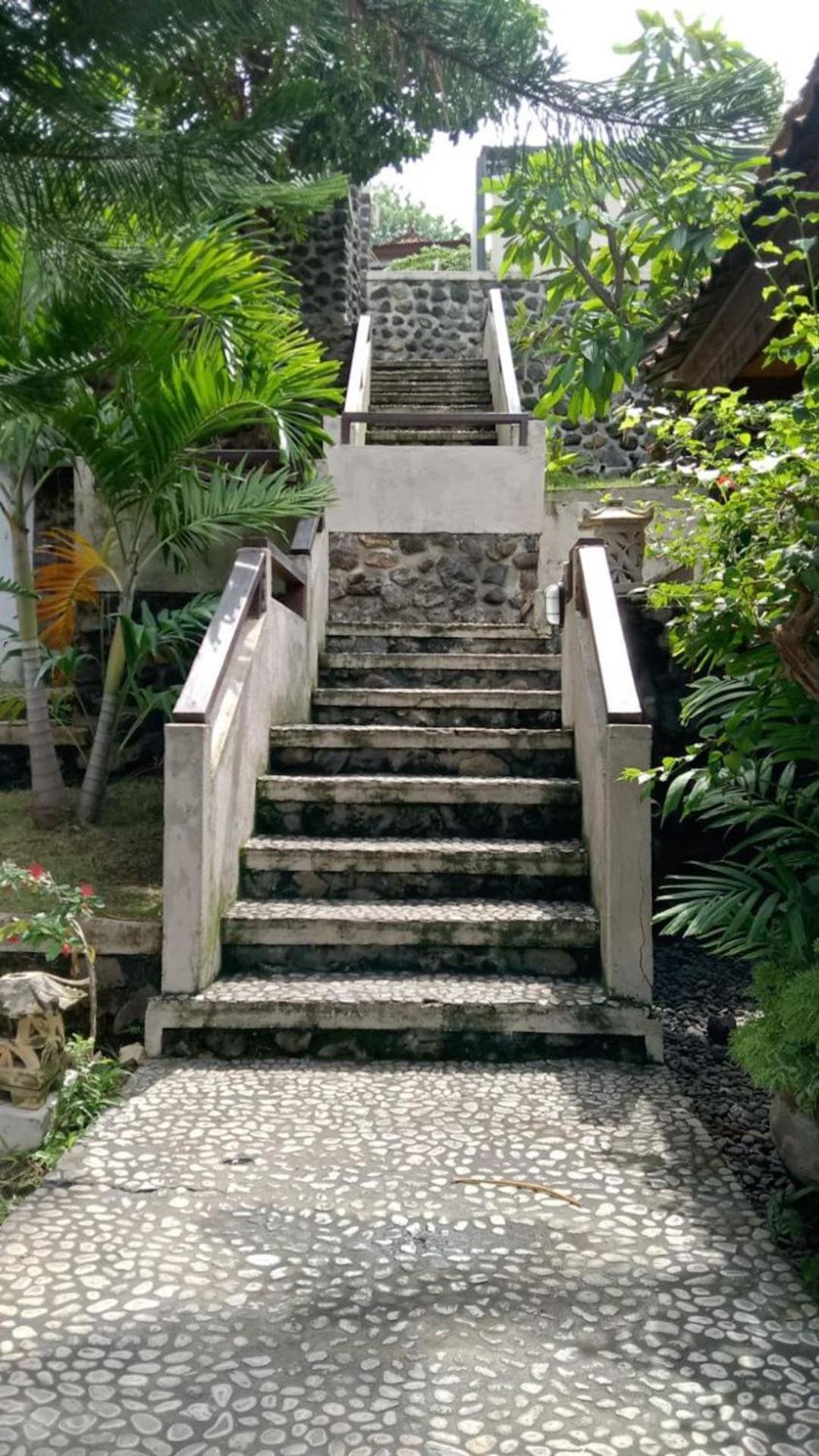 Photo 35