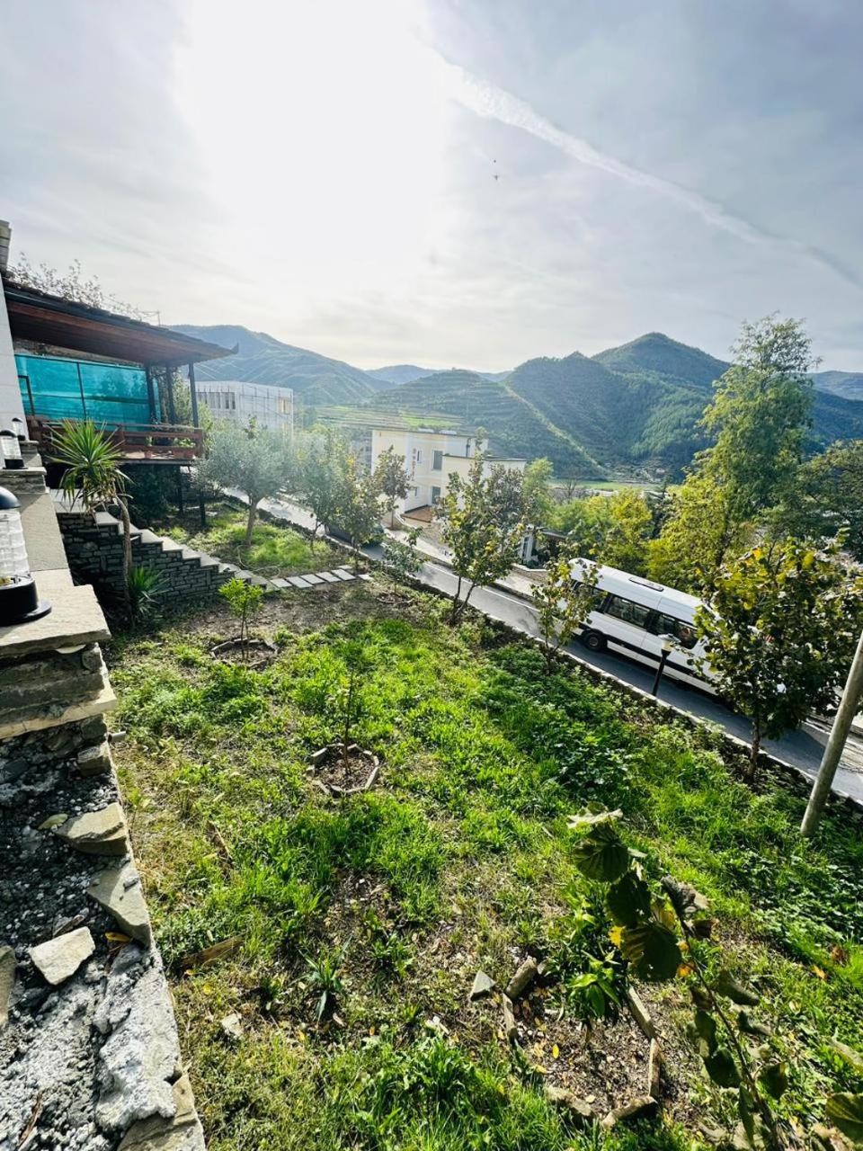 Vladi's Home photo 2