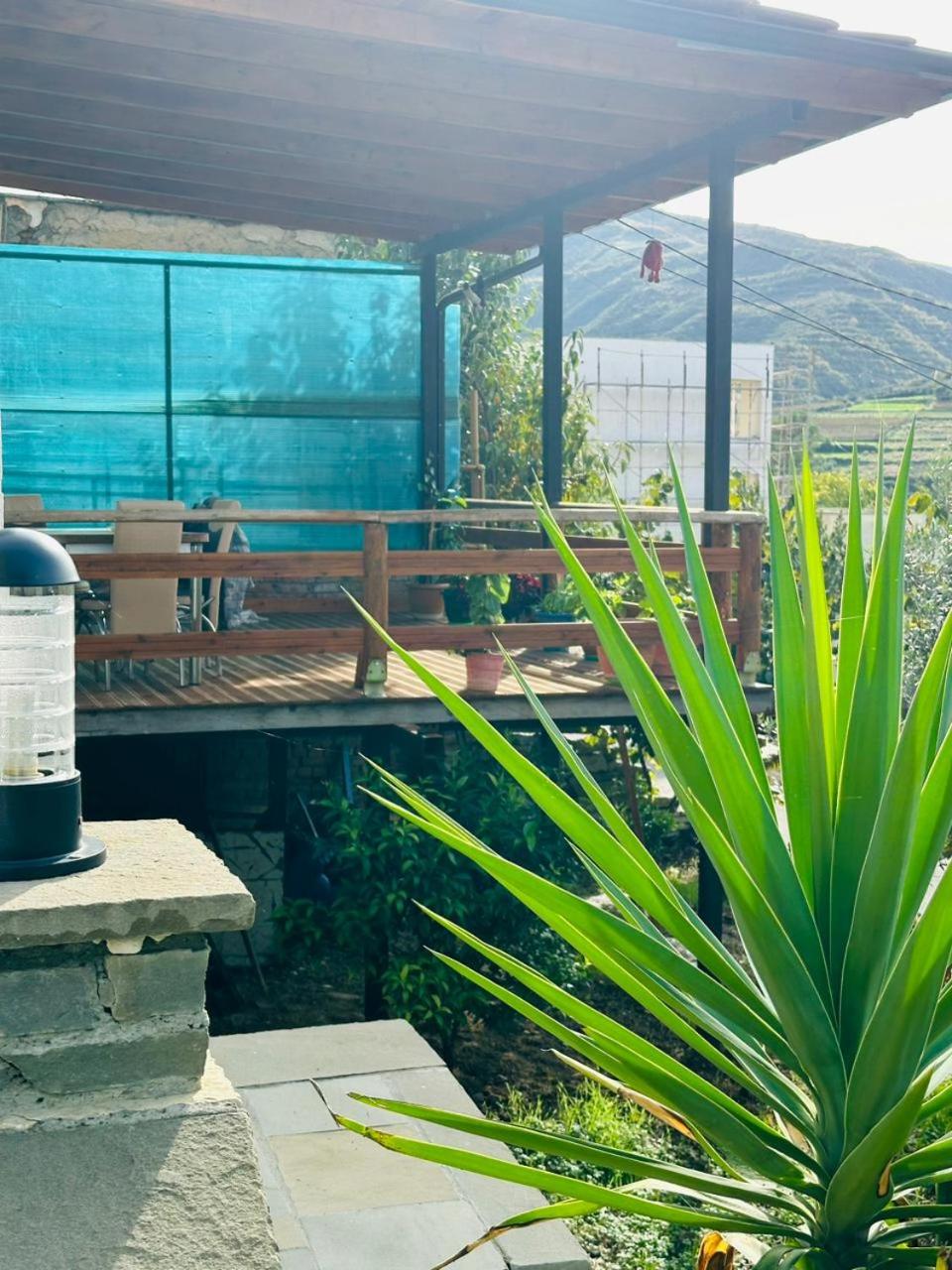 Vladi's Home photo 4