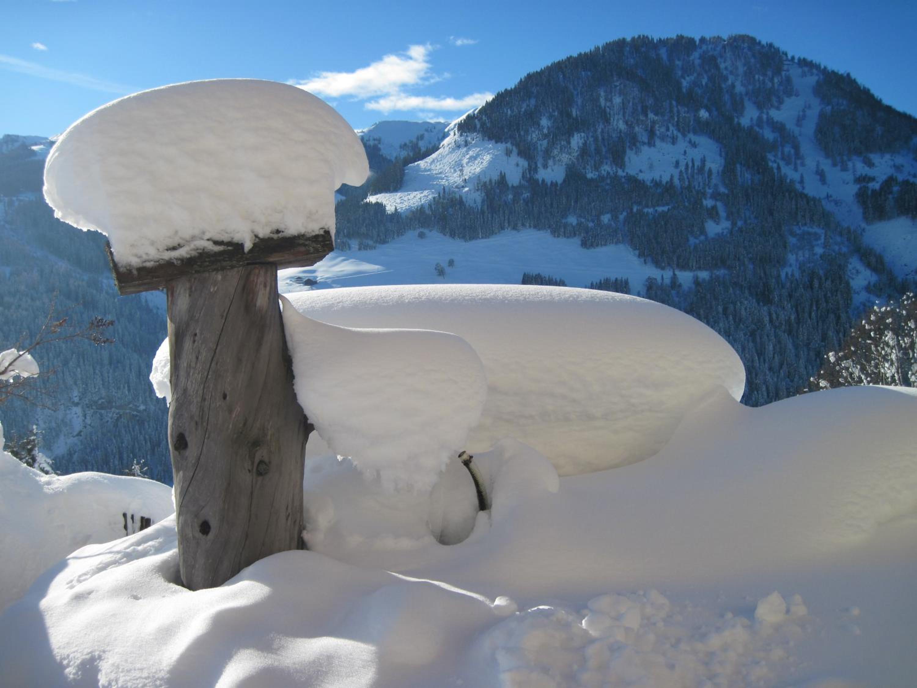 Mönchsberghof