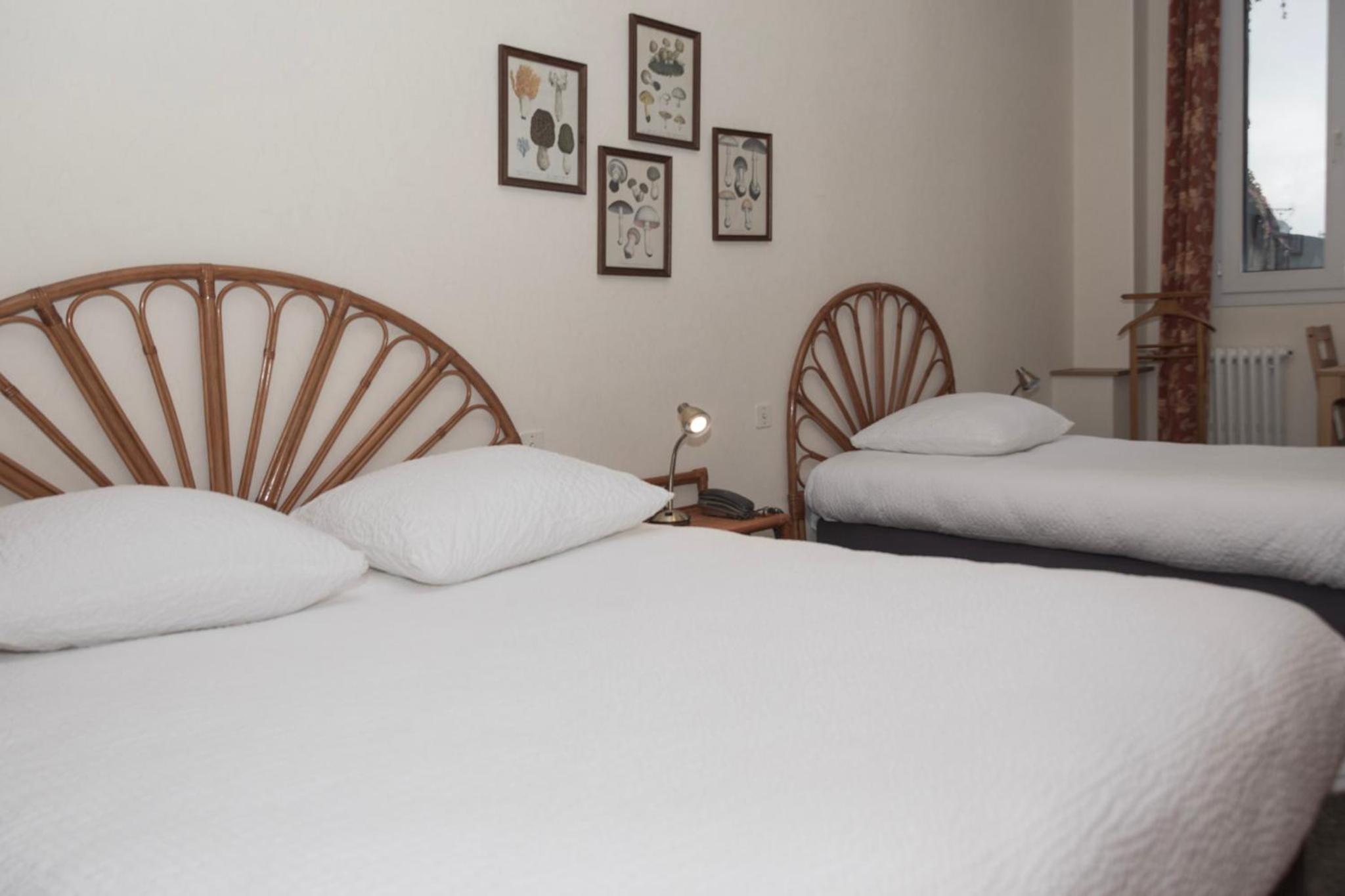 Le Blanc-Mesnil Vacations - Cit'Hotel Aero-Hotel - Property Image 13