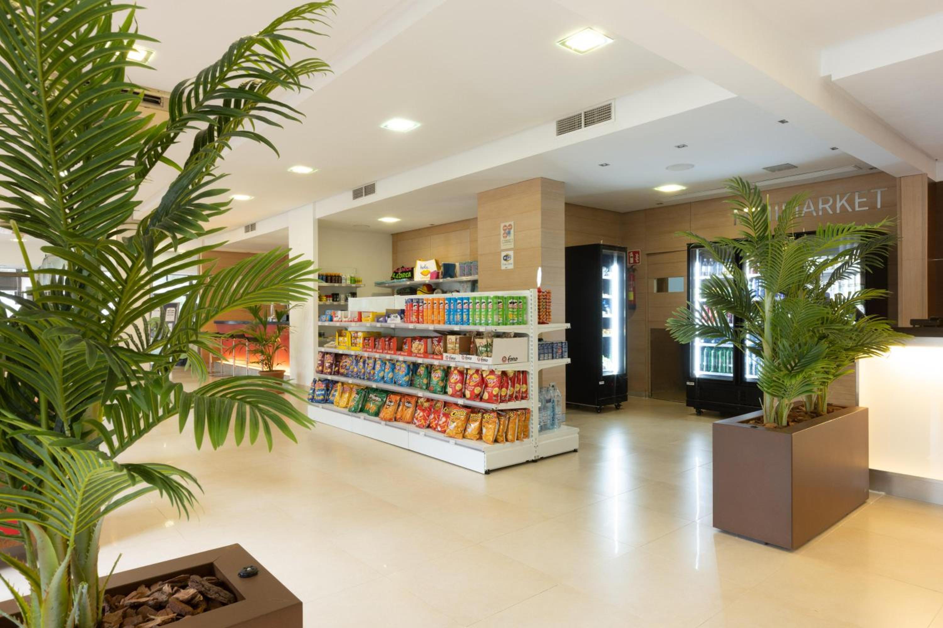 Playa de Palma Vacations - Hotel Pabisa Chico - Property Image 4