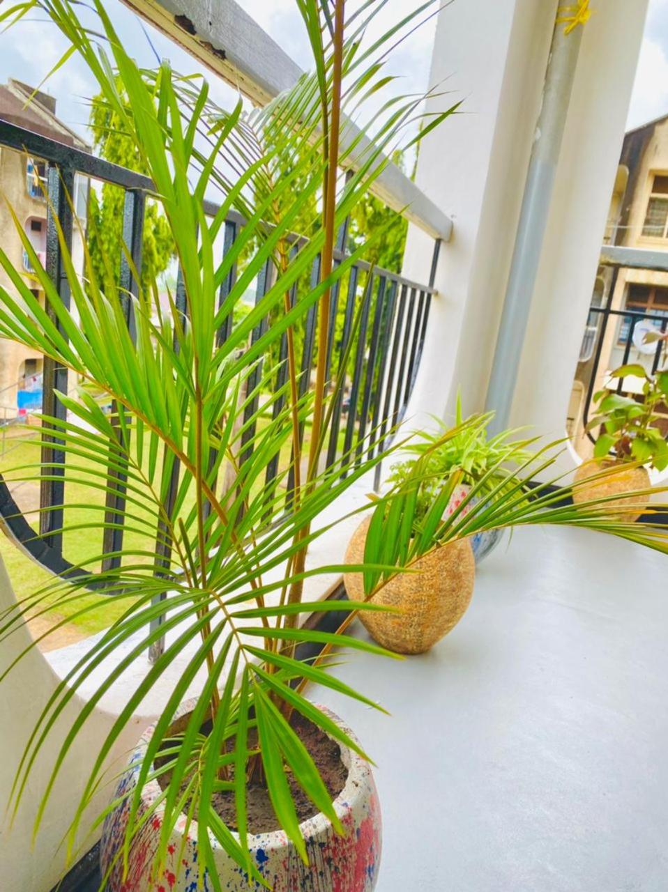 Drew Apartment Tanga