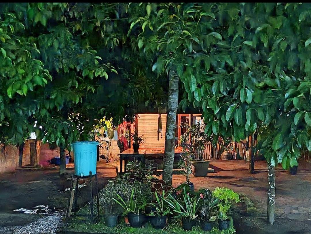 Traveller Homestay