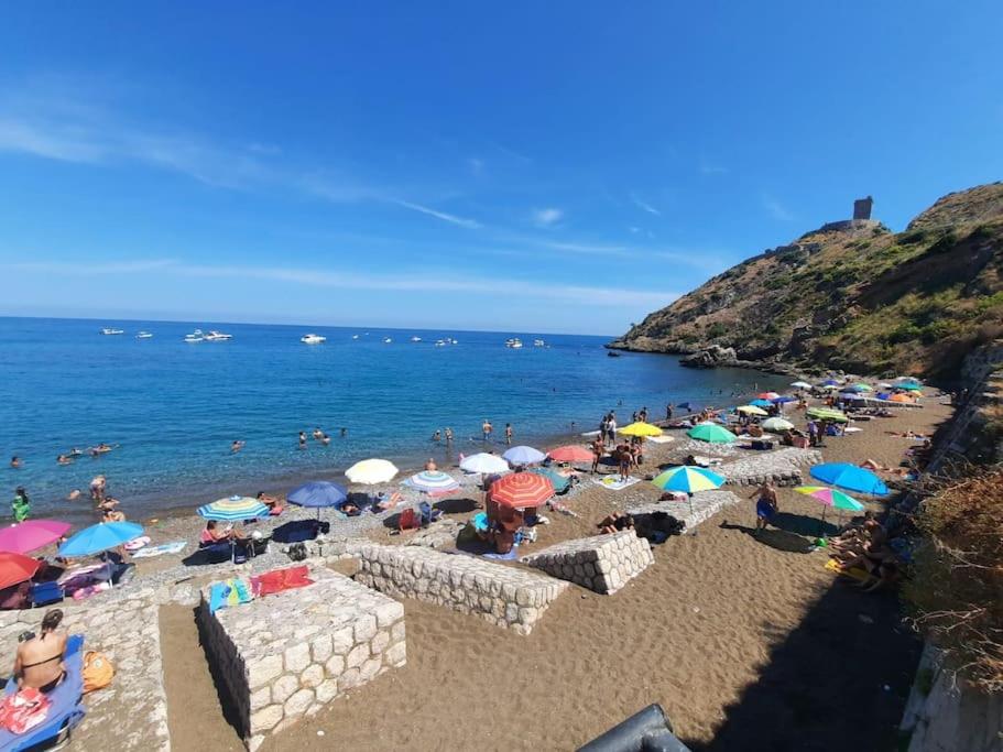 Marina Holiday