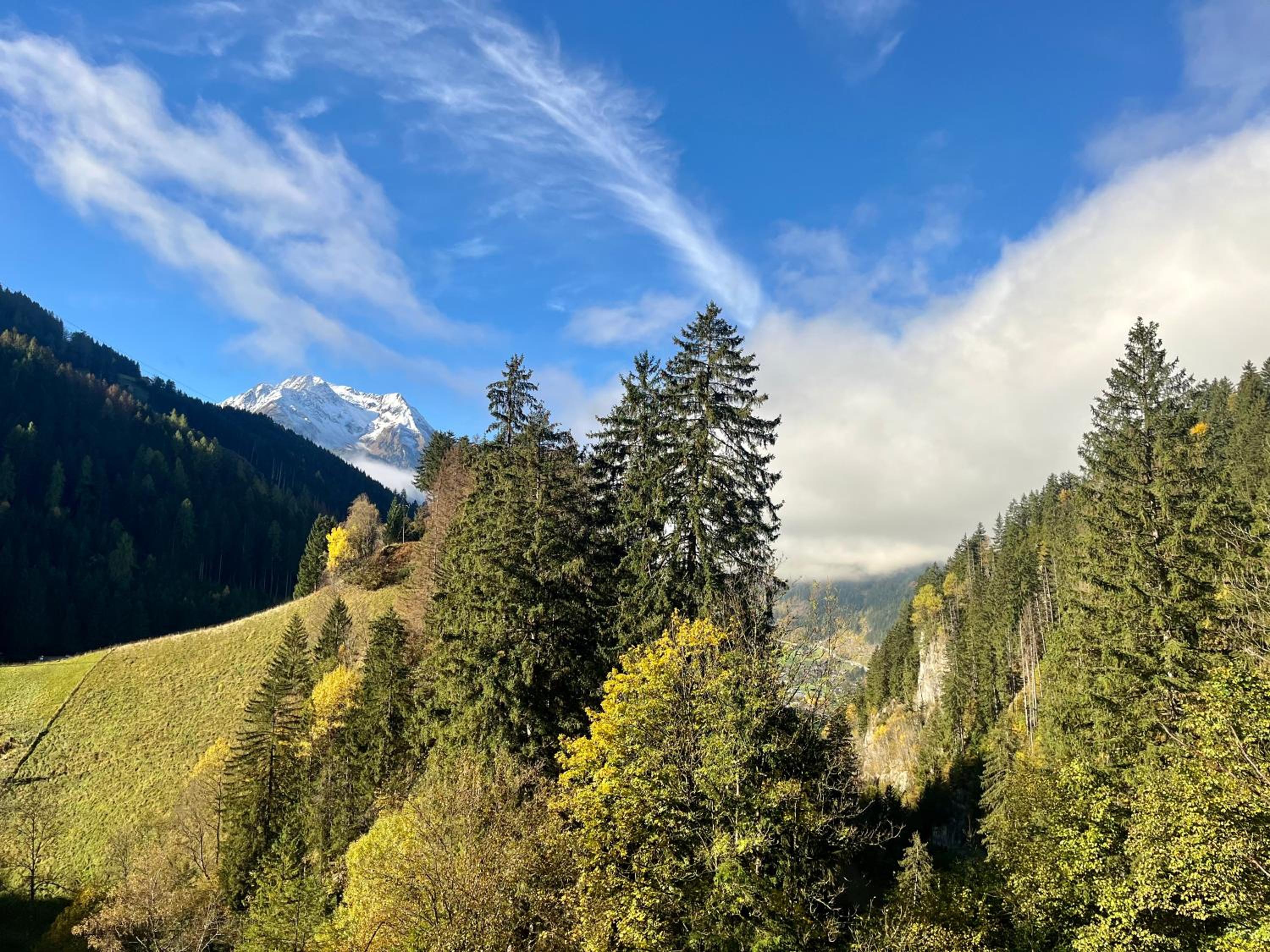Natur Zeit - Alpine Garden Apartments