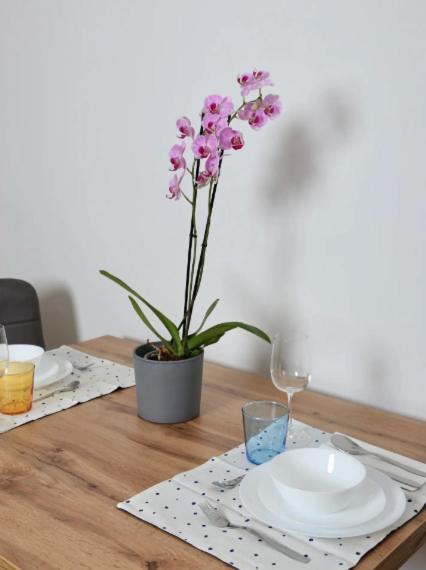 Urban Stays Apartments Vienna
