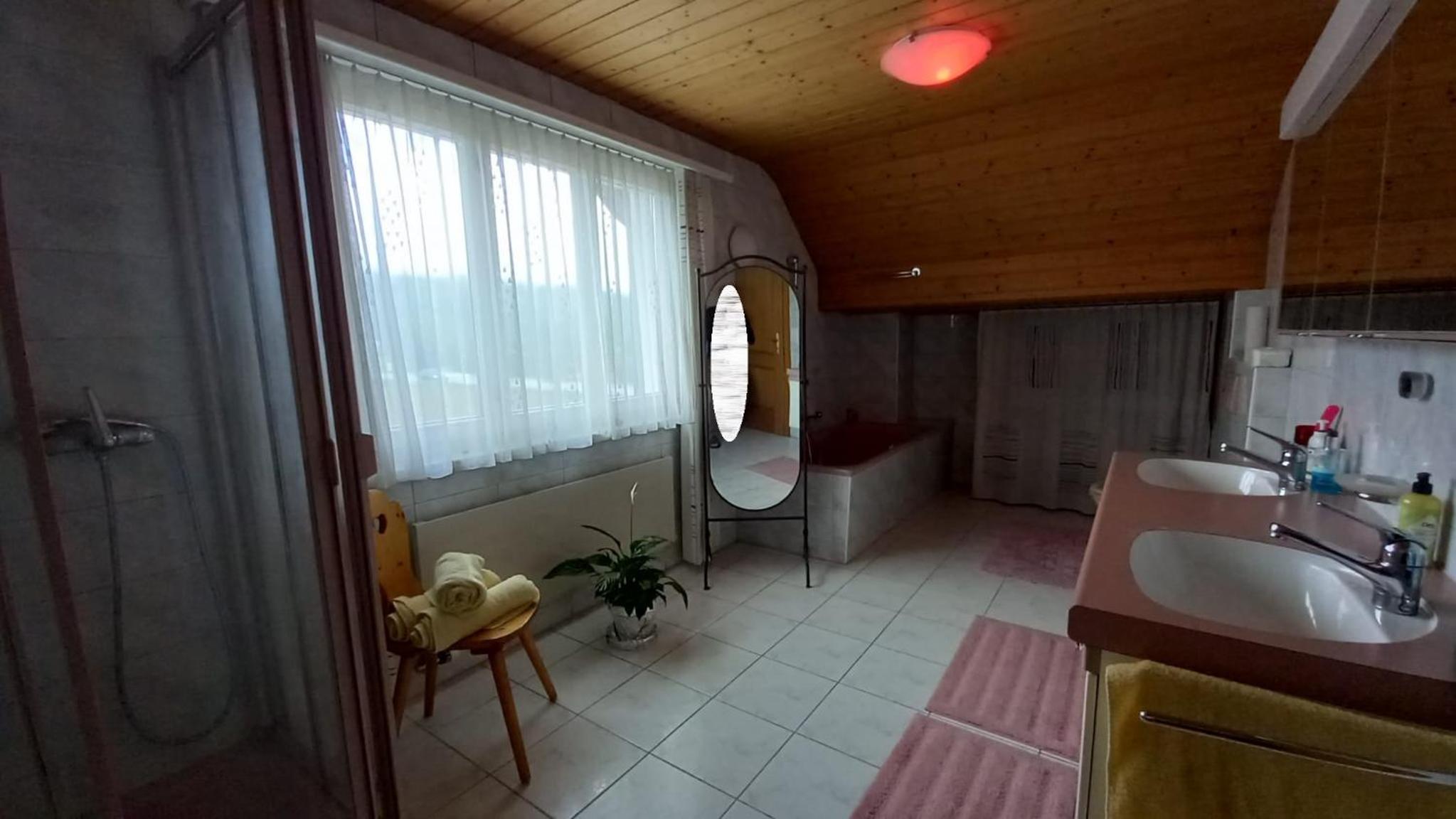 1 Zimmer in Kestenholz