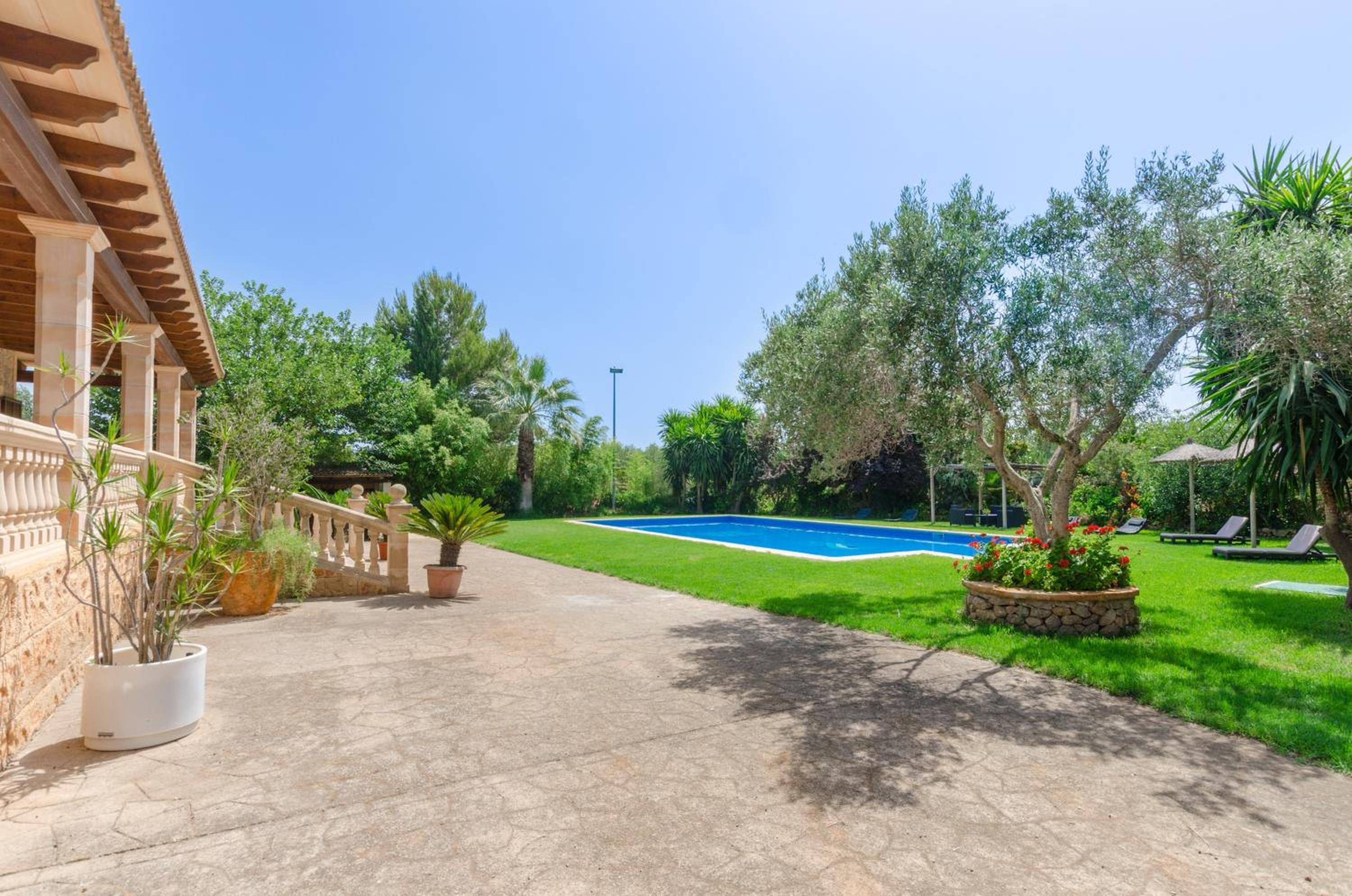 Ca'n Berguins photo 2