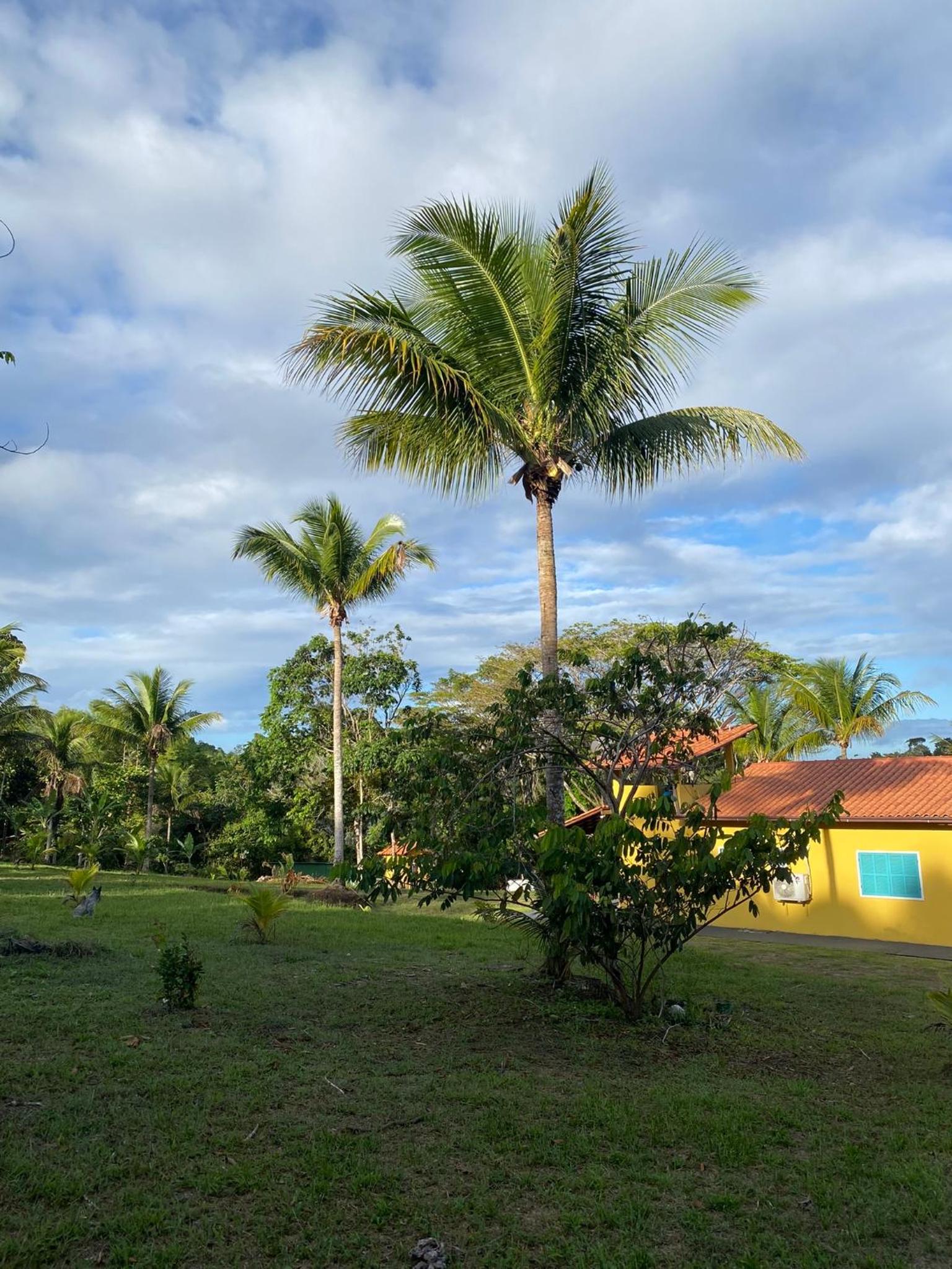 Sítio Casa Vida Nova