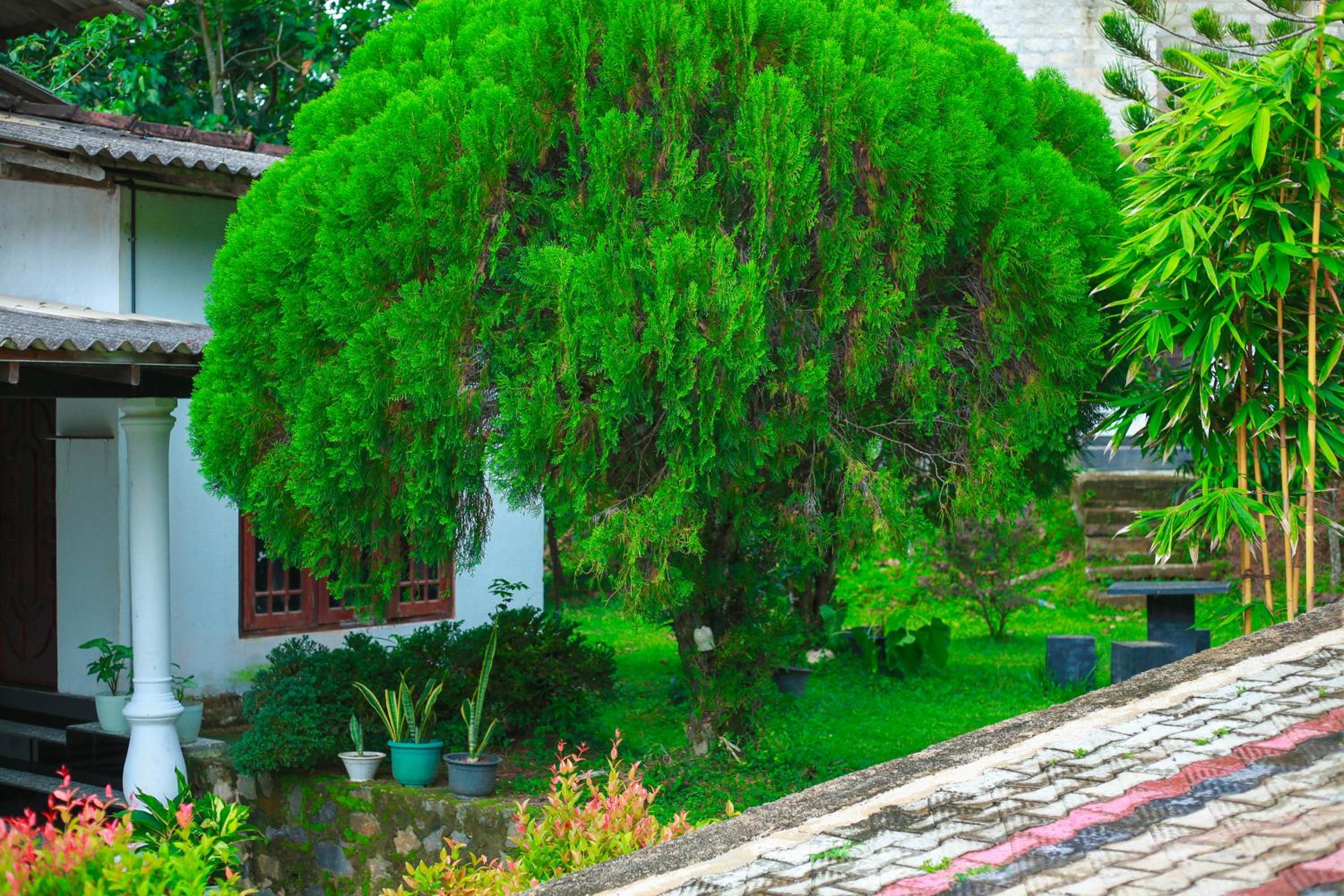 E2 Villa