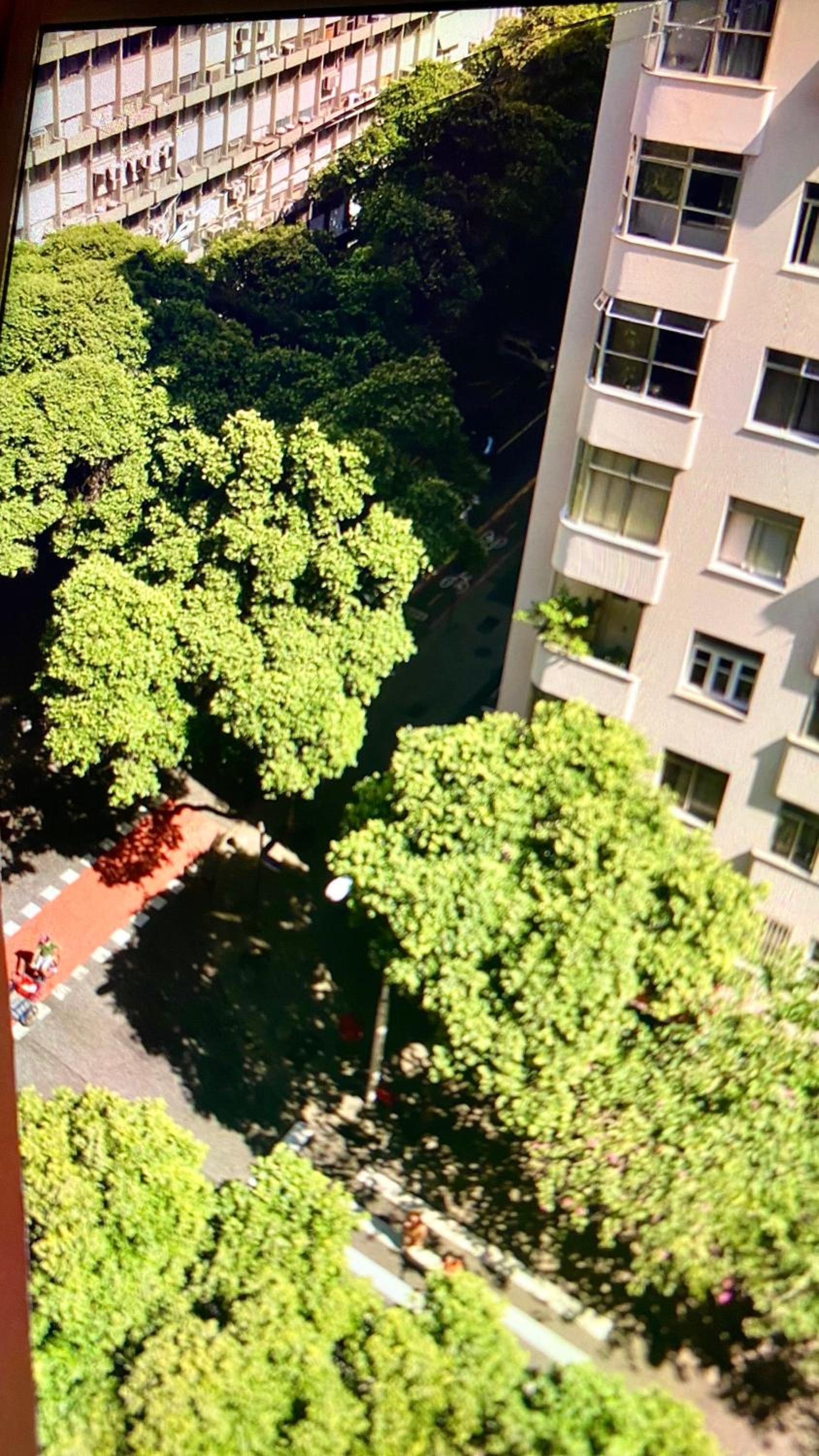 Apartamento Xavier da Silveira 40 view 4