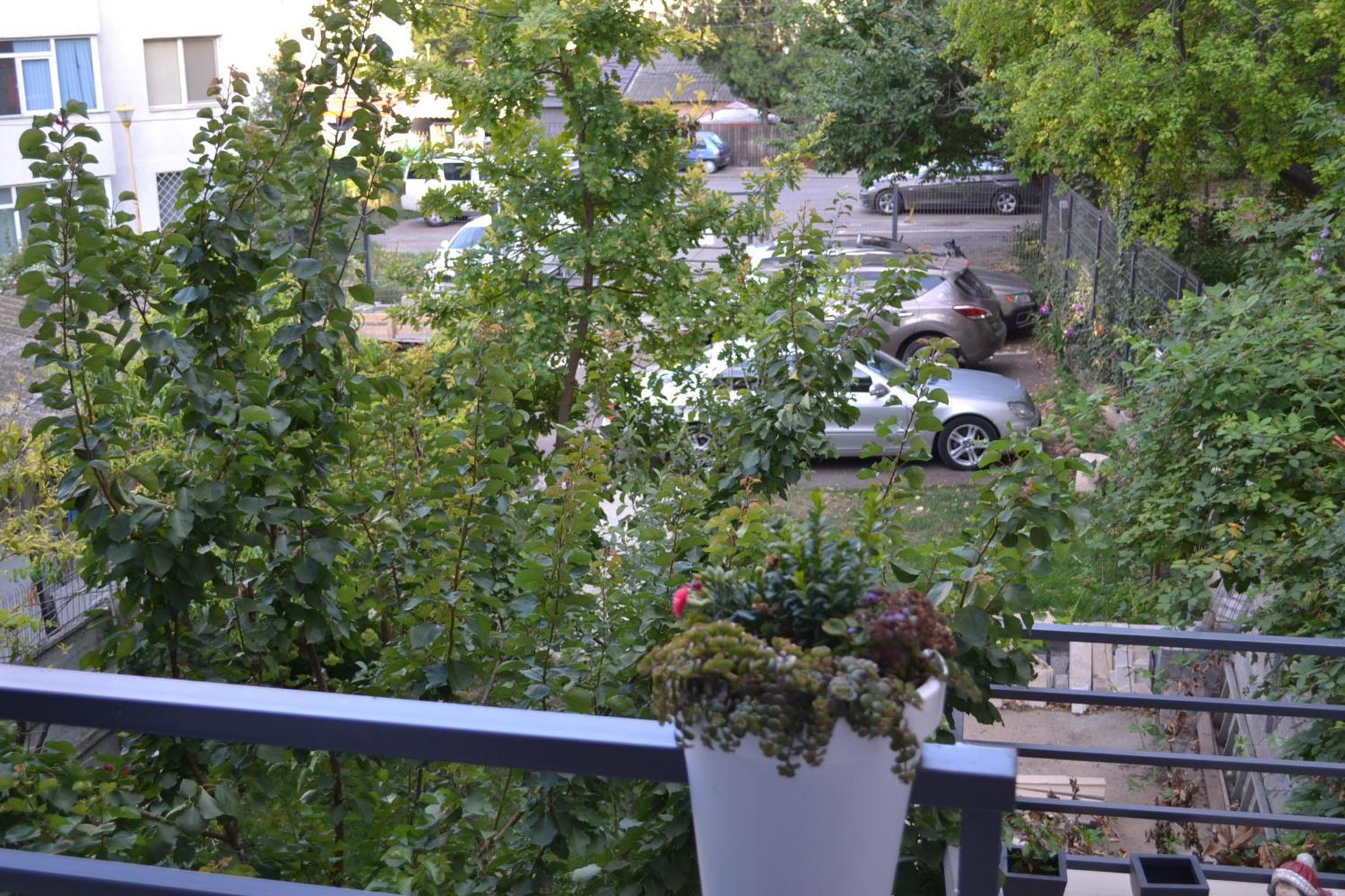 Photo 34